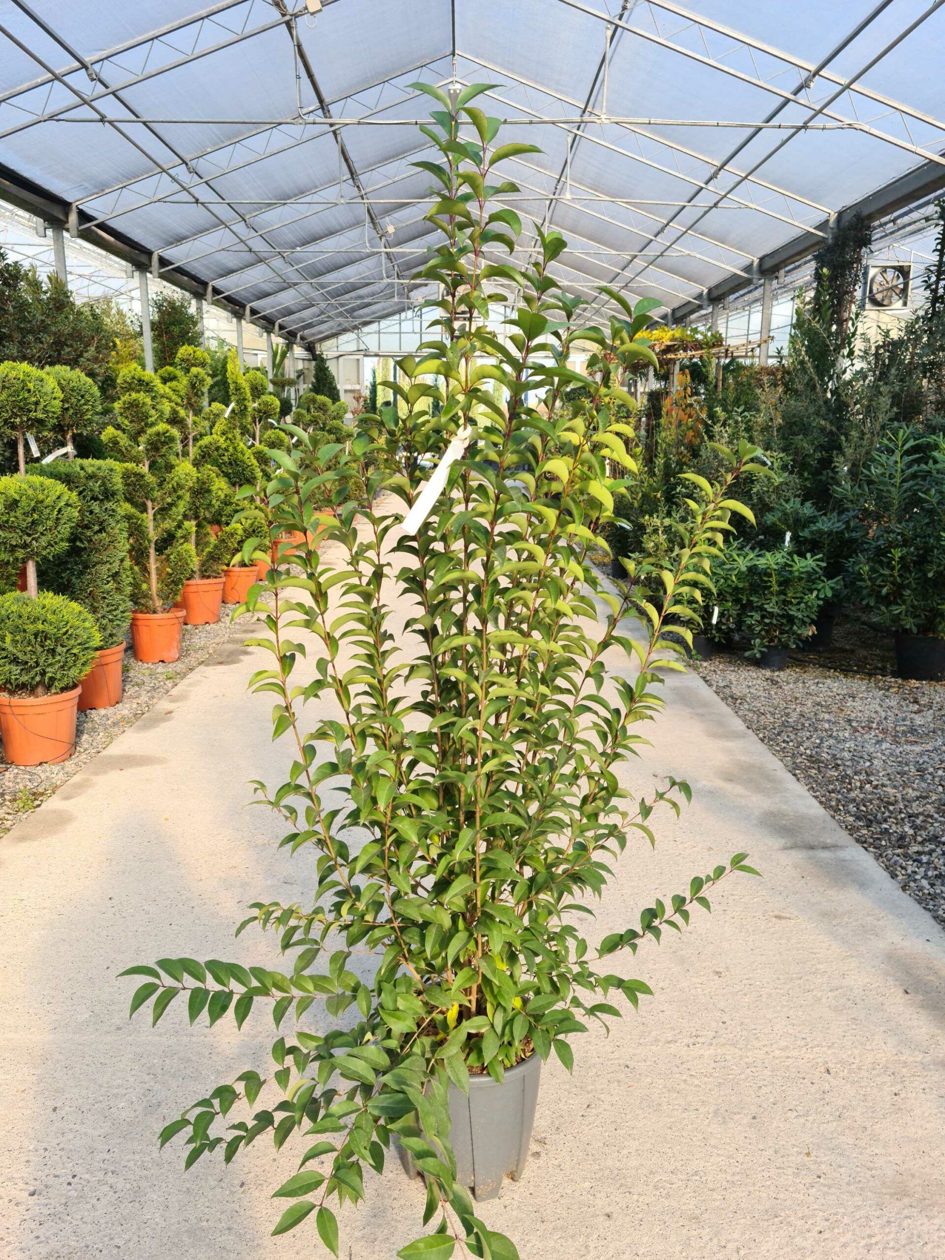 1639478215 scaled 54f7627a