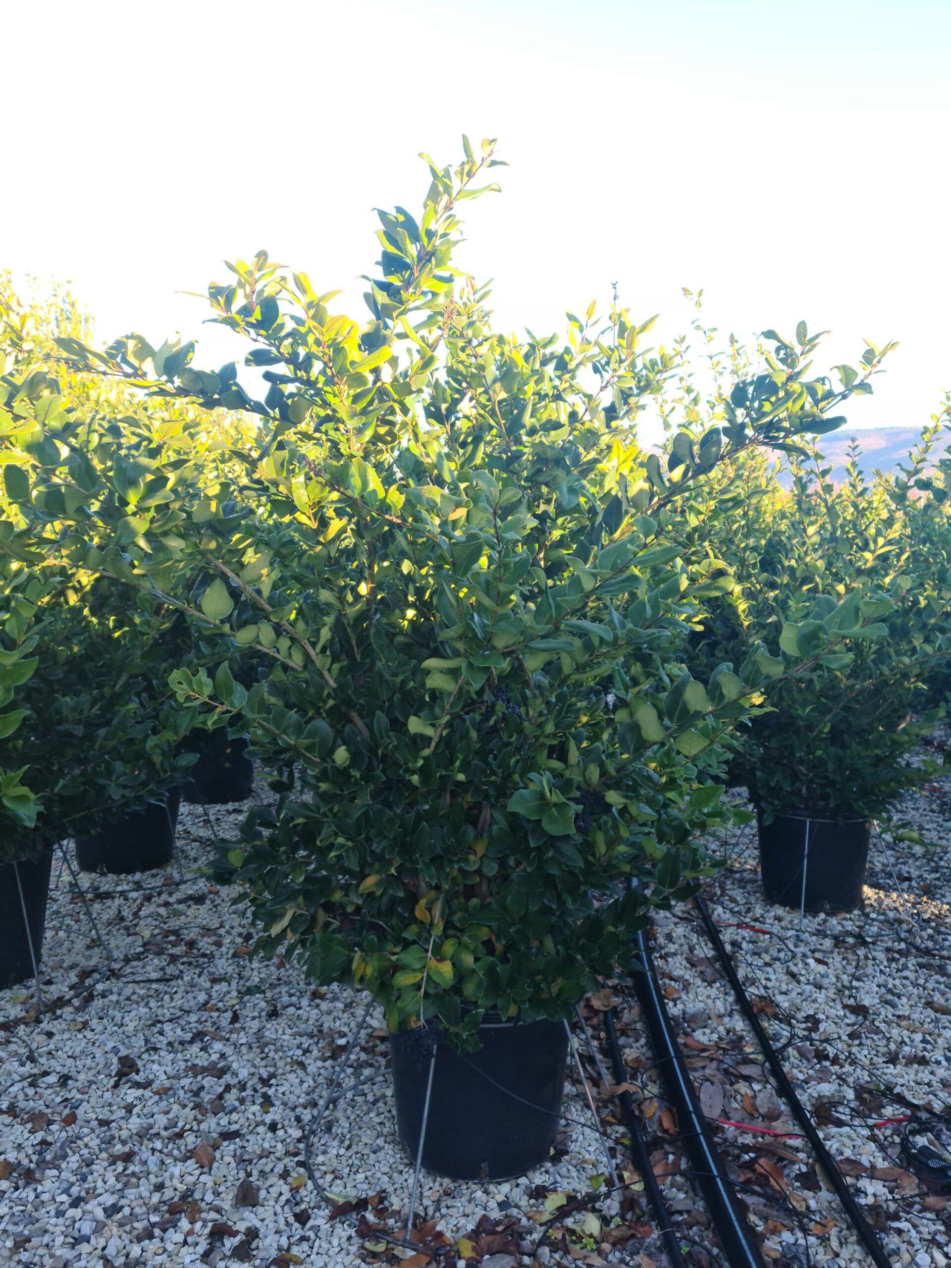 1639727689 scaled 547eacd4