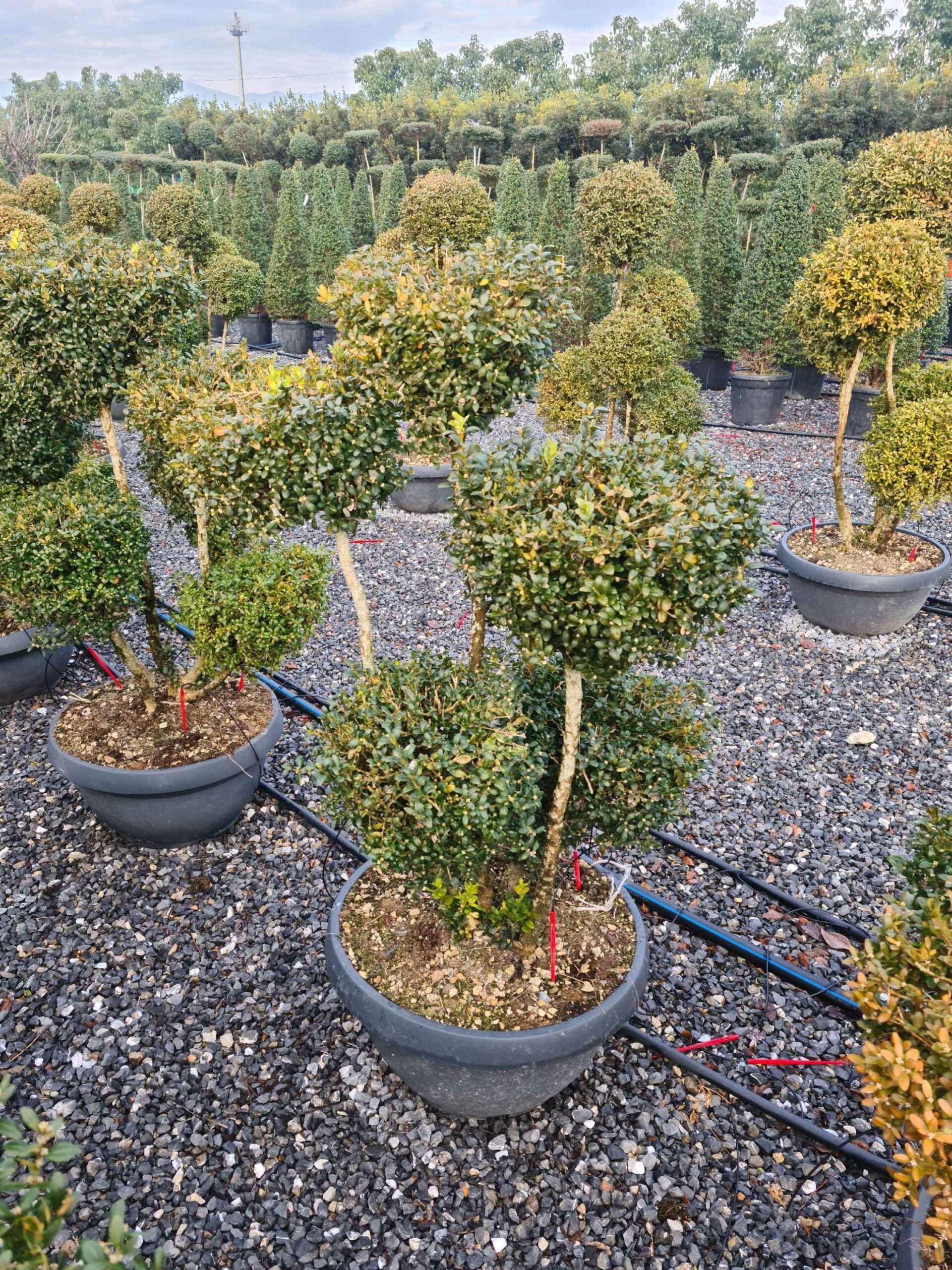 1640163218 scaled 54ff978e