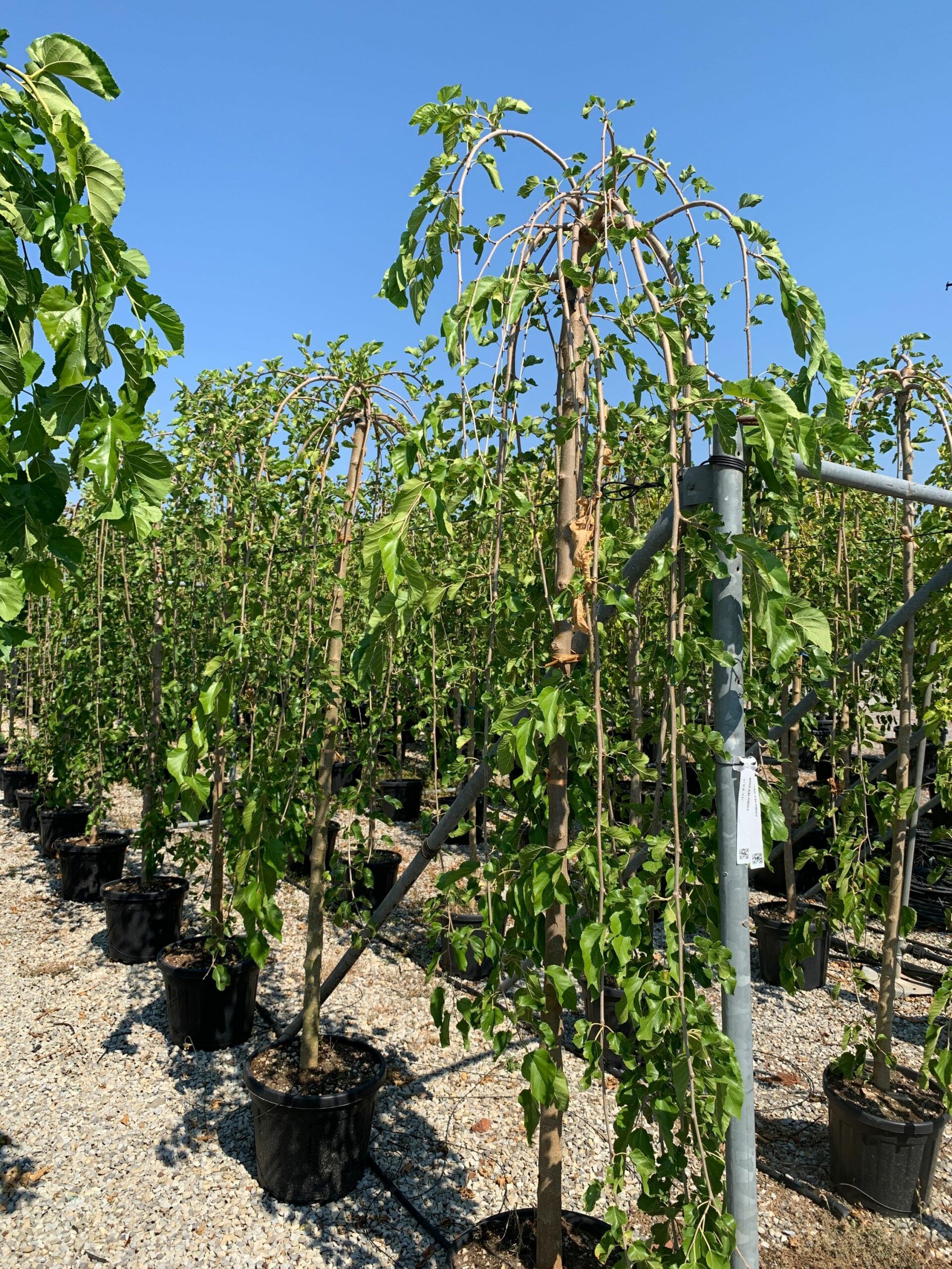 1658132600 scaled 5448e021