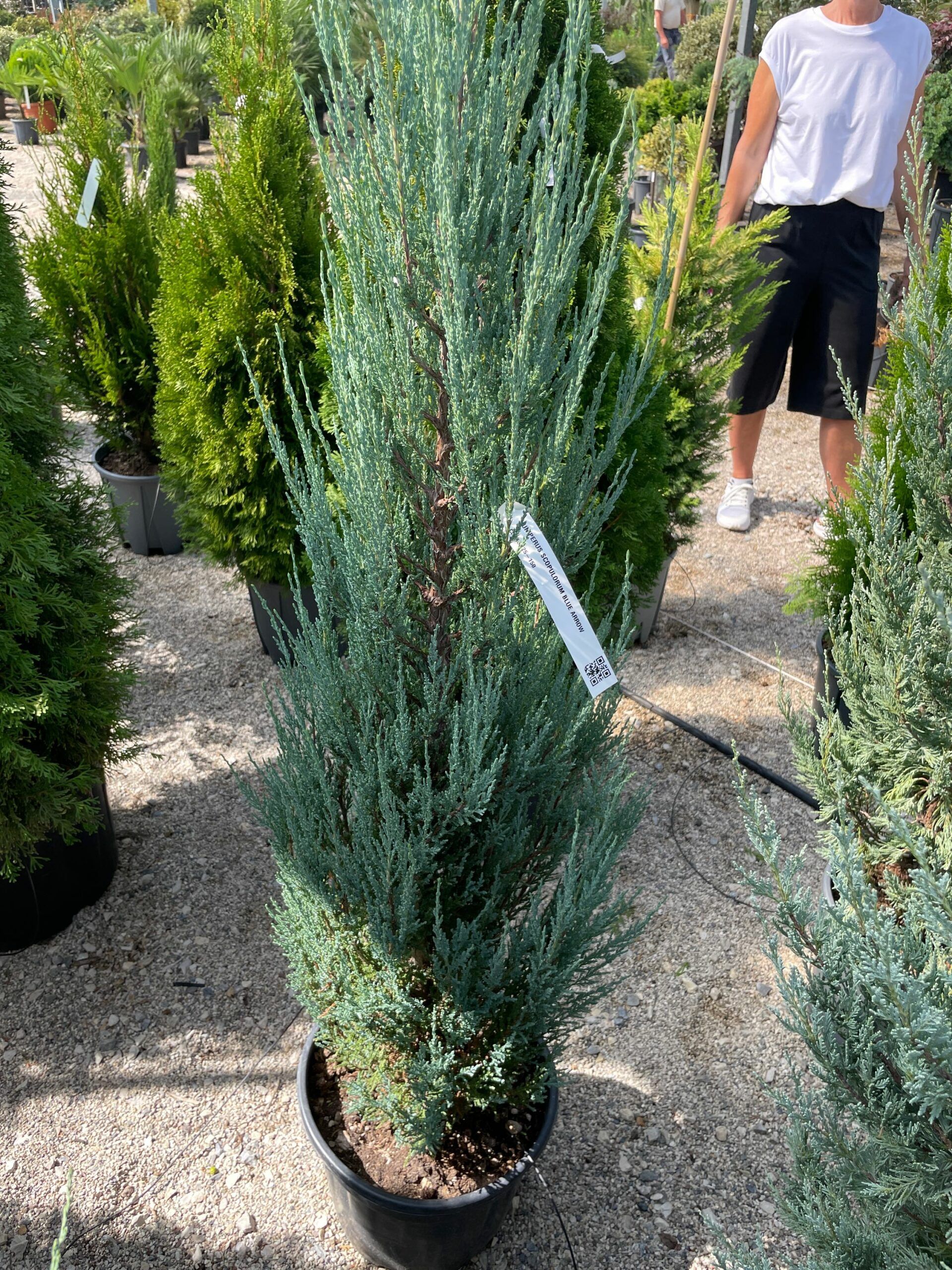 1661938531 scaled 5493897d