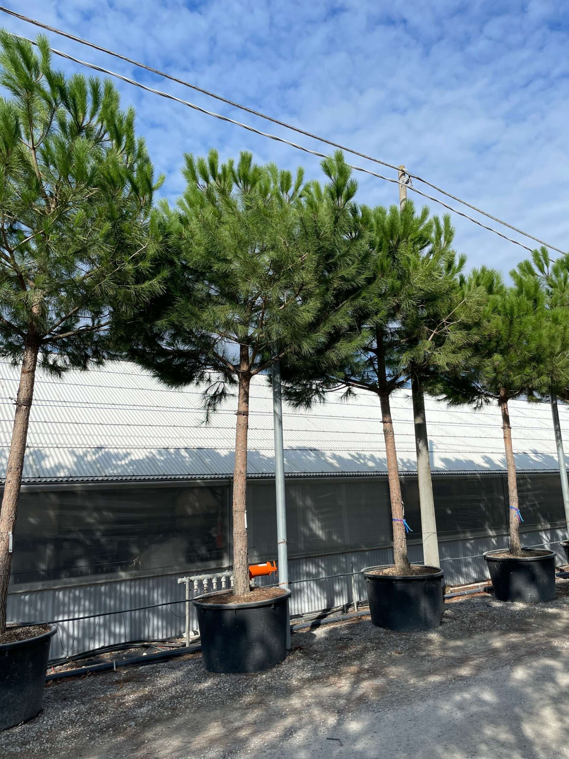 1665305498 scaled 546fbcaf