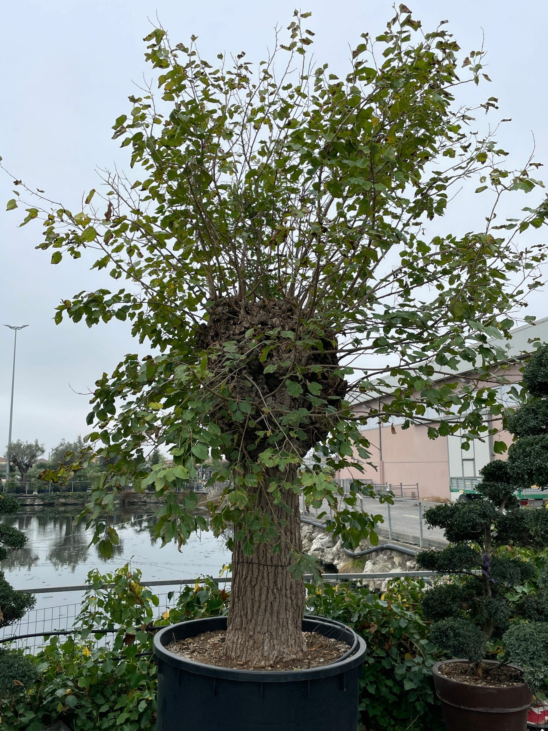 1666172666 scaled 54803a5a