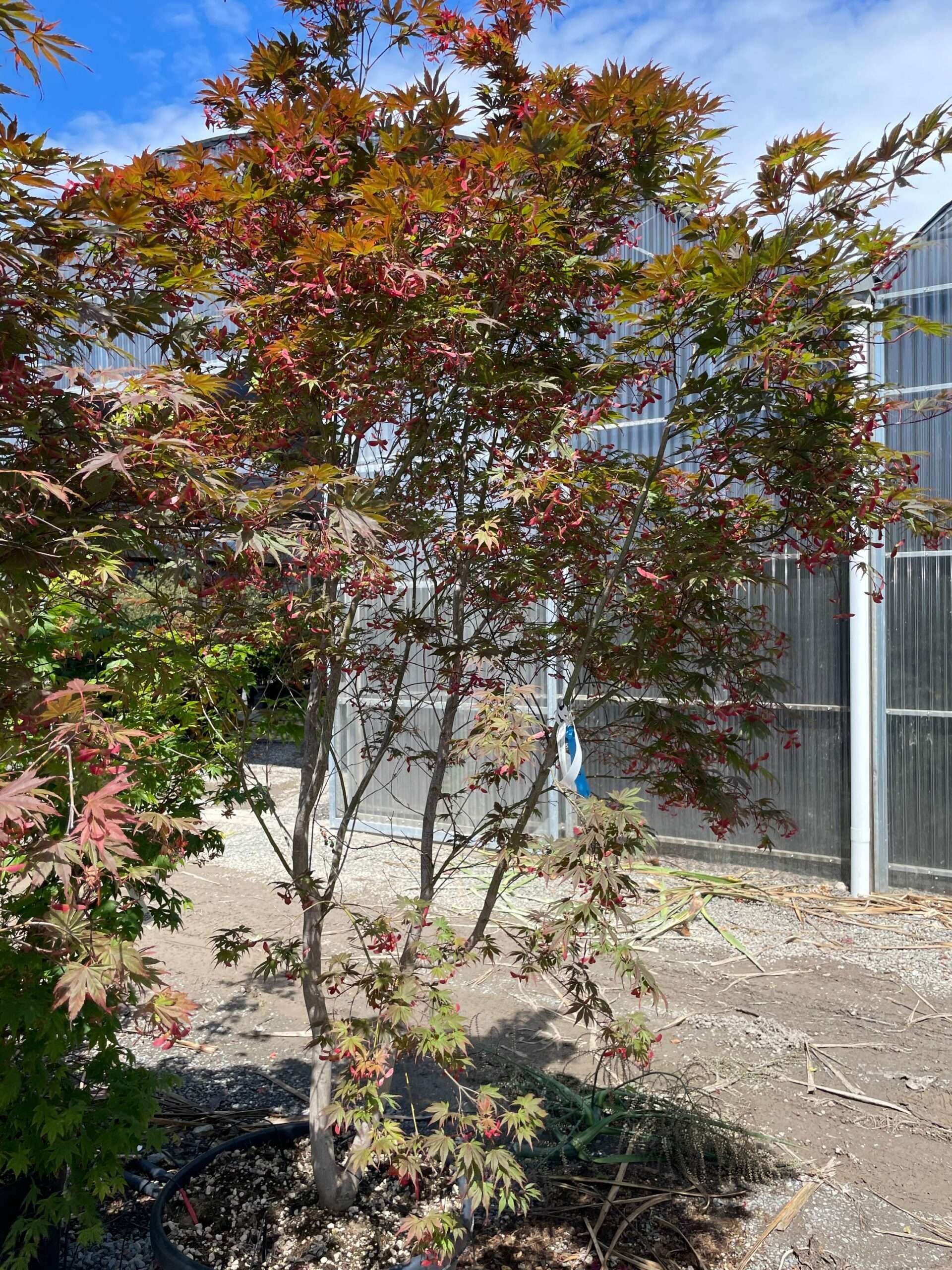 1683108603 scaled 54ca9dad