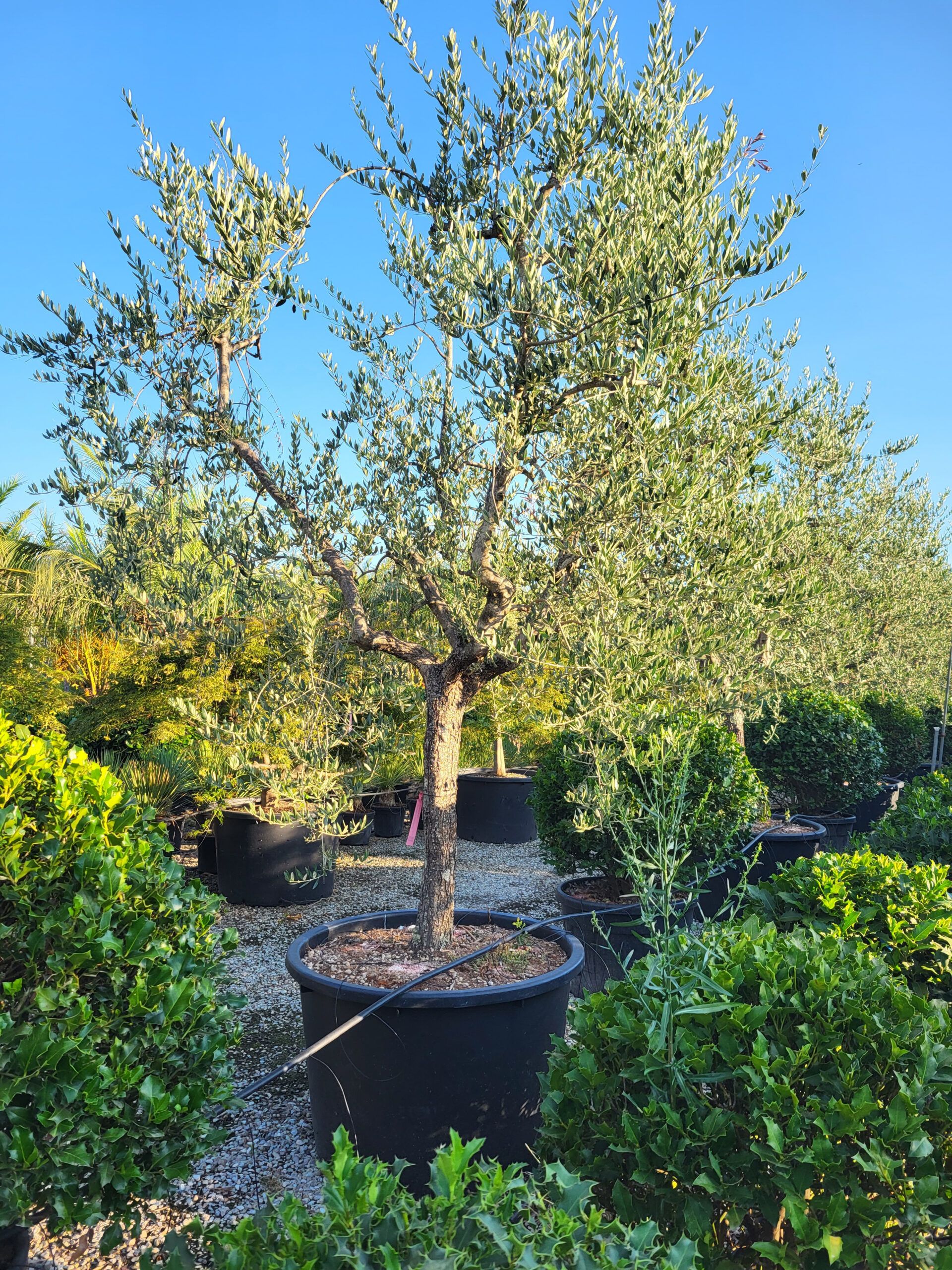 1692684750 scaled 542bd04d