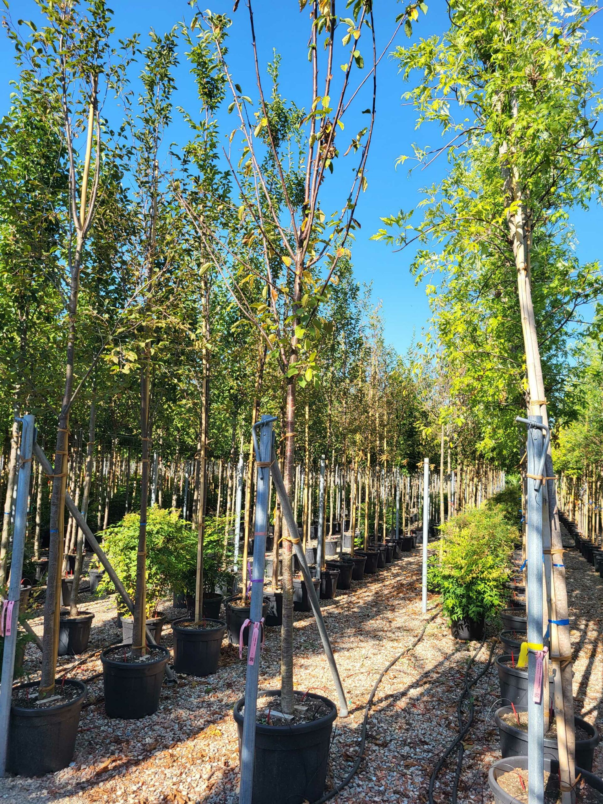 1692689785 scaled 5474d338