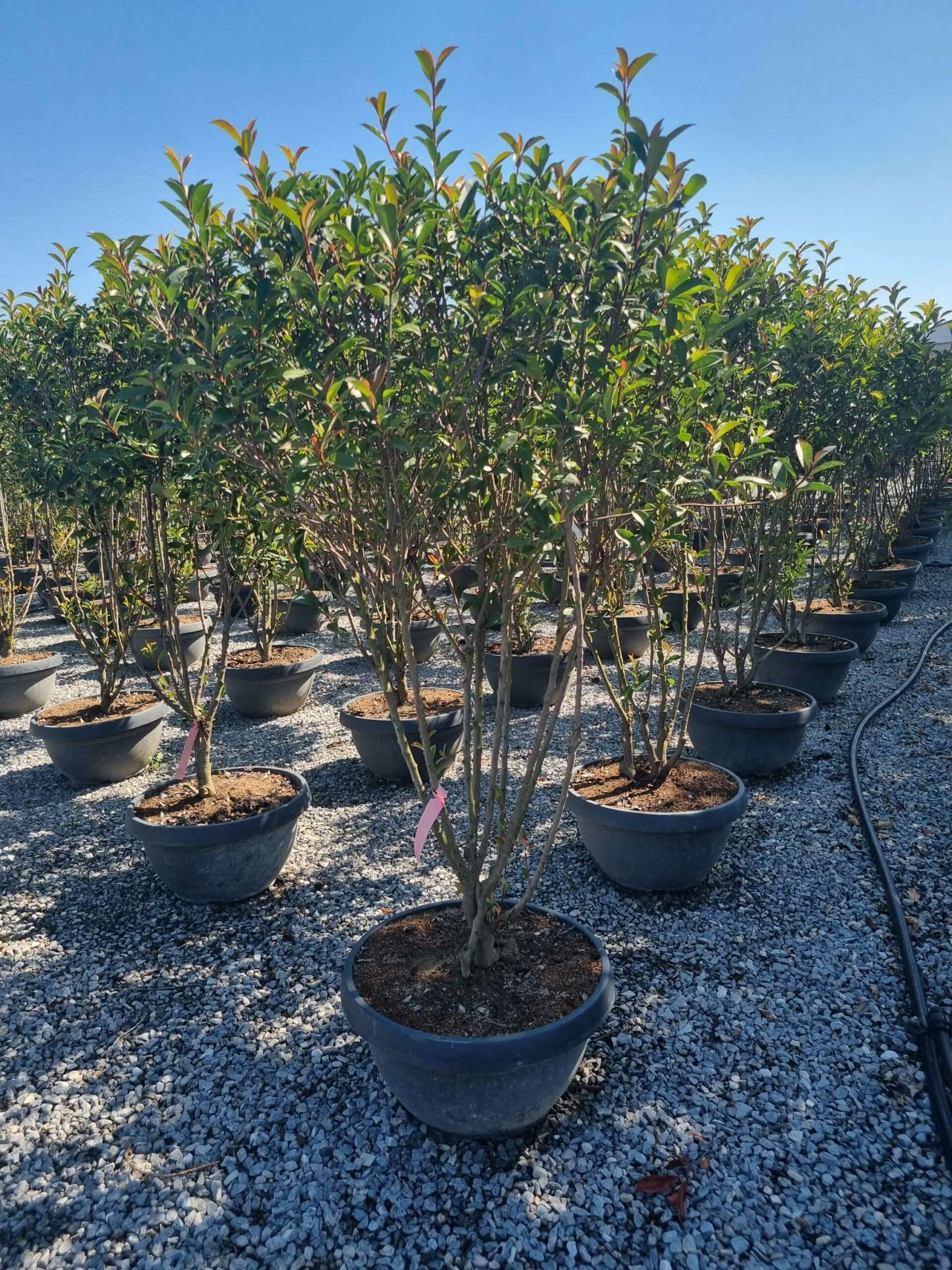 1692694856 scaled 5440c1cc