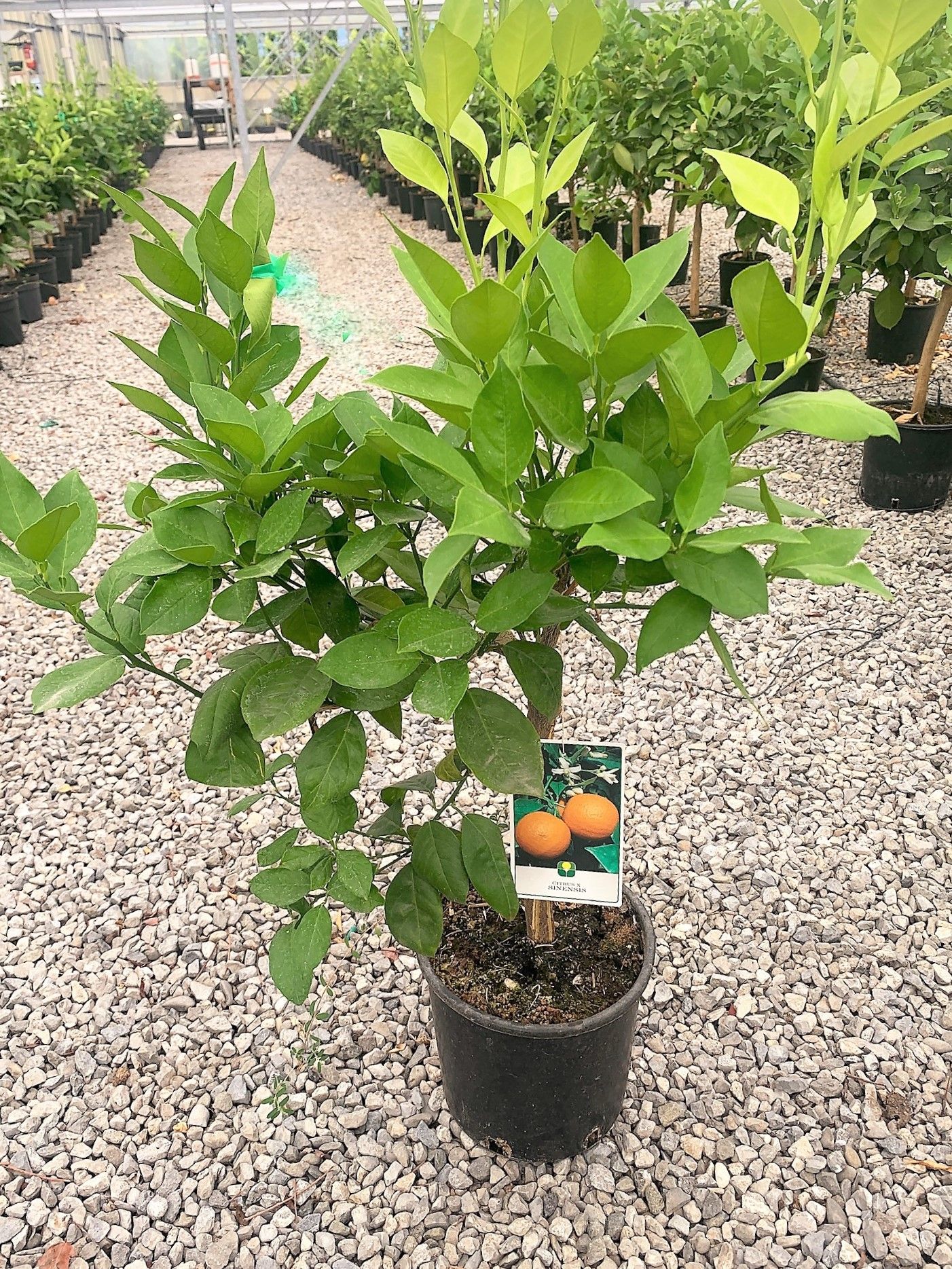 1629991655 0140cede3eb5ca6c021f879cd525f3d9c9cf9ab2ca 55c9113a