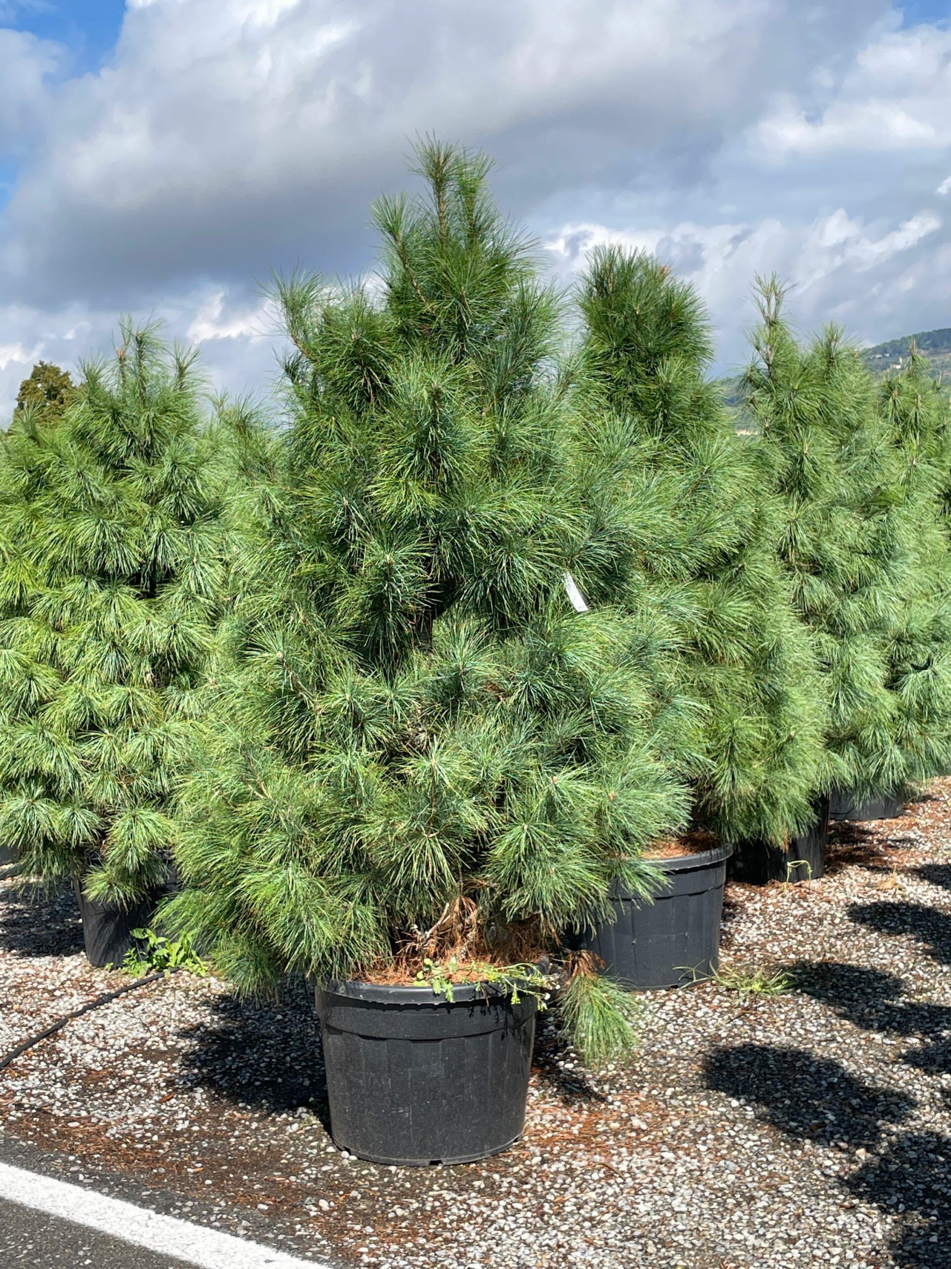 1631957477 scaled 55cf9476