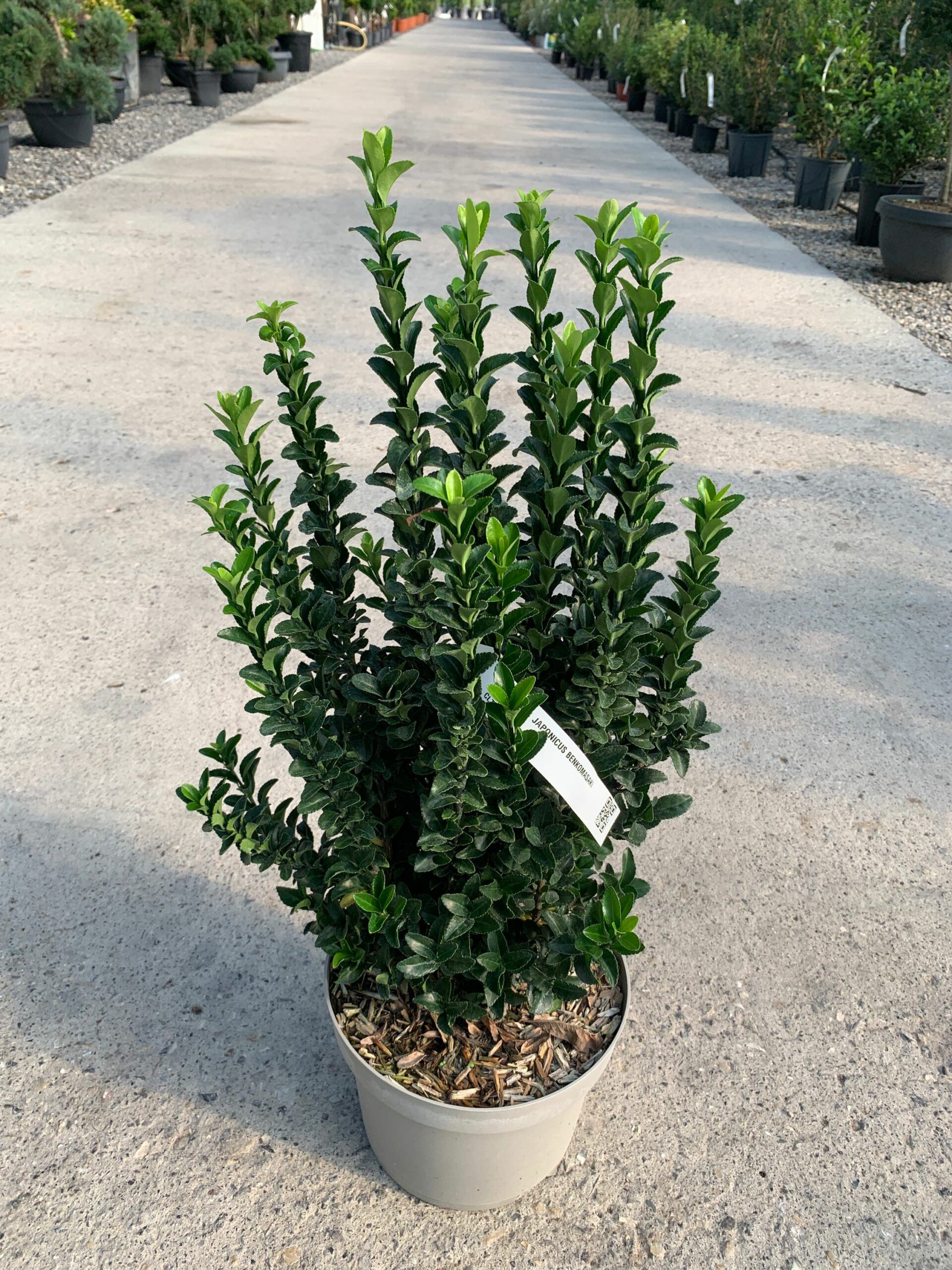 1632815449 scaled 558ed8fc