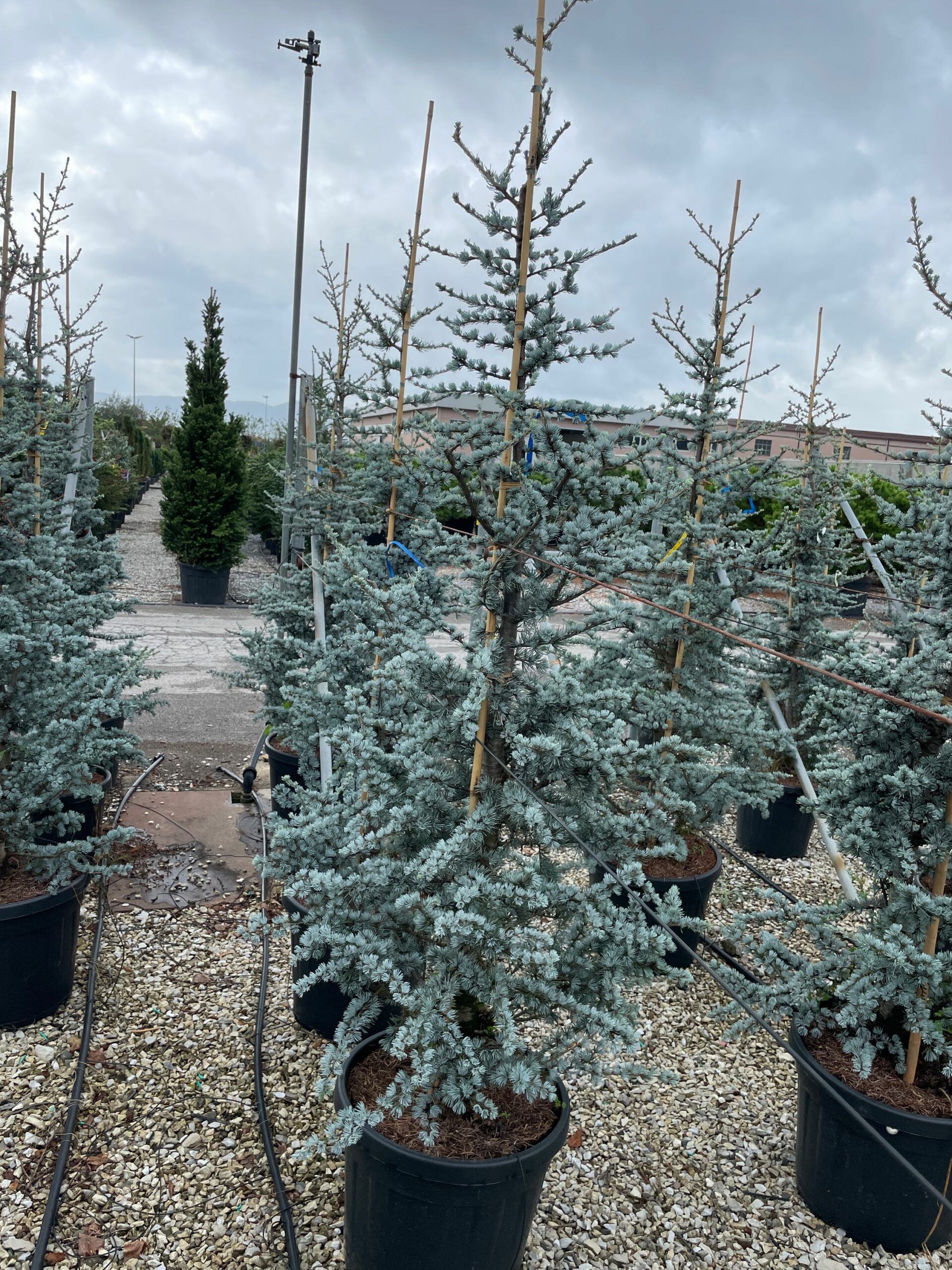 1633423896 scaled 55cbb4e6