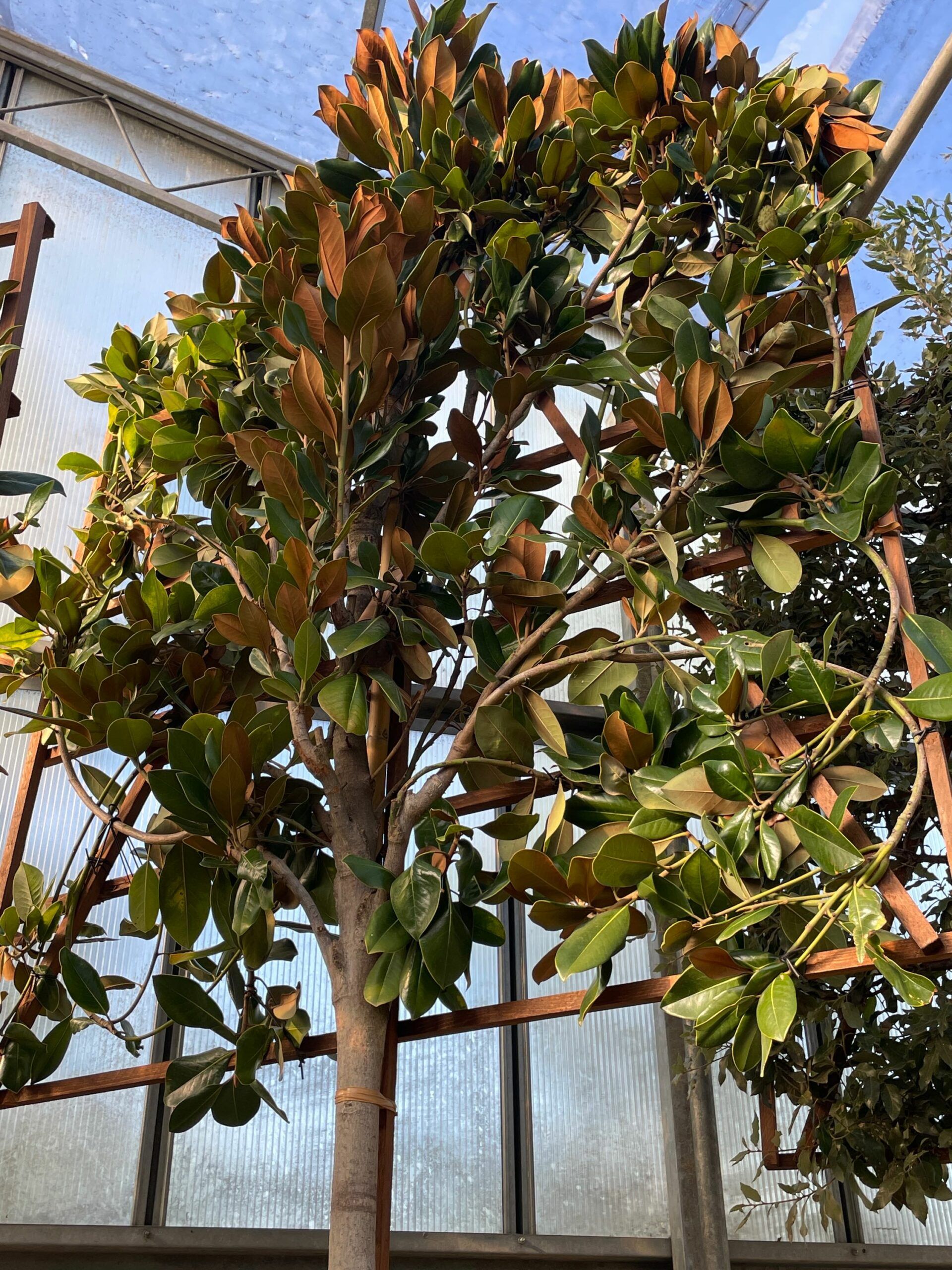 1661355993 scaled 55099dfc