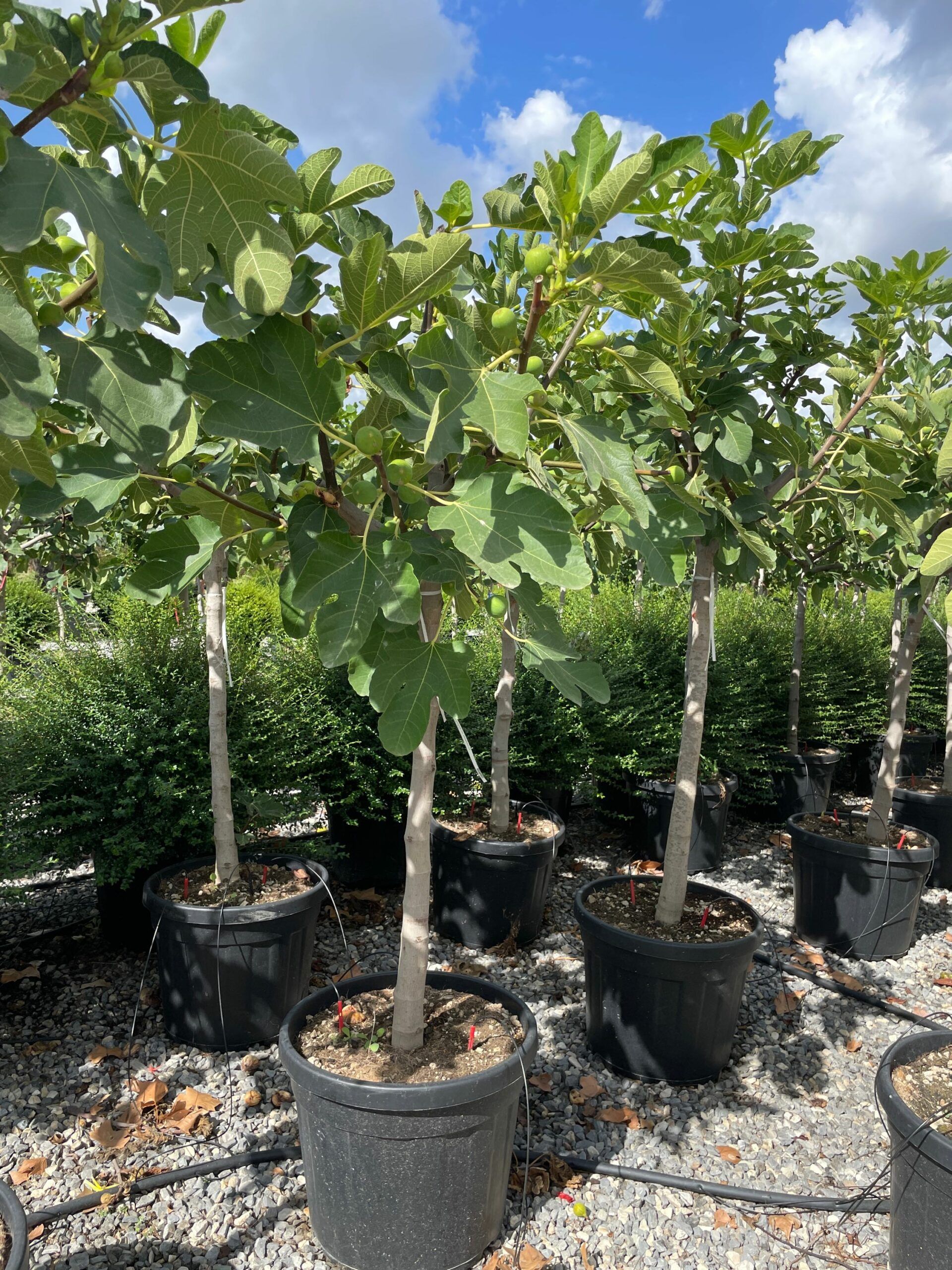 1662714103 scaled 5558e54b