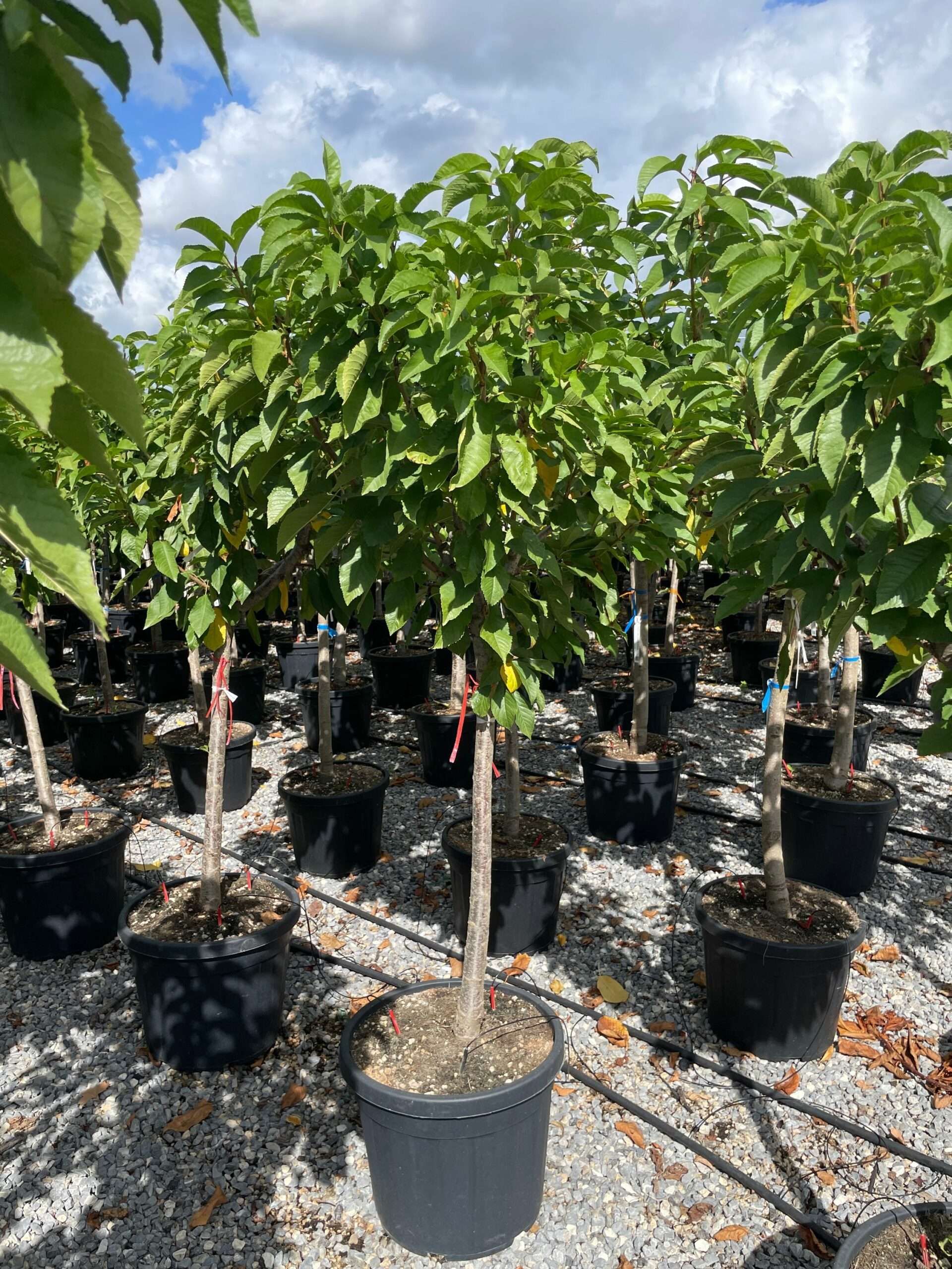 1662714532 scaled 55937fe5