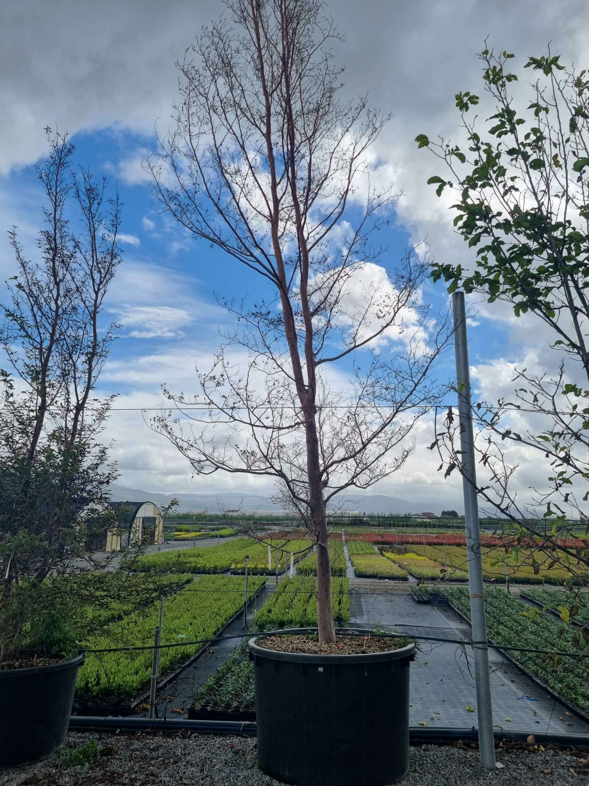 1664443724 scaled 5502f4b1