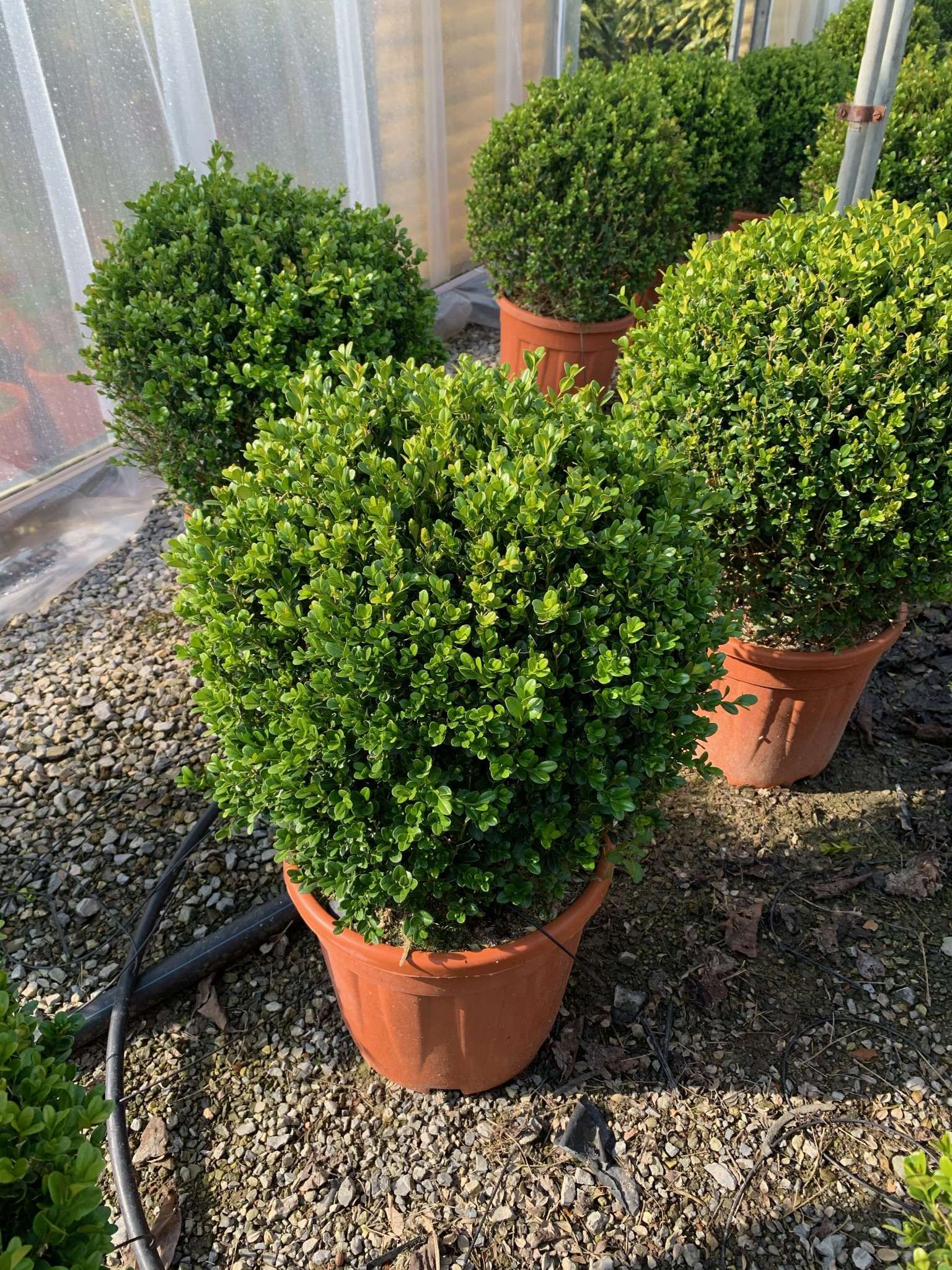 1616597695 01ca555a39ea22b43b37853476d6ff4b18af50c708 56e7402a