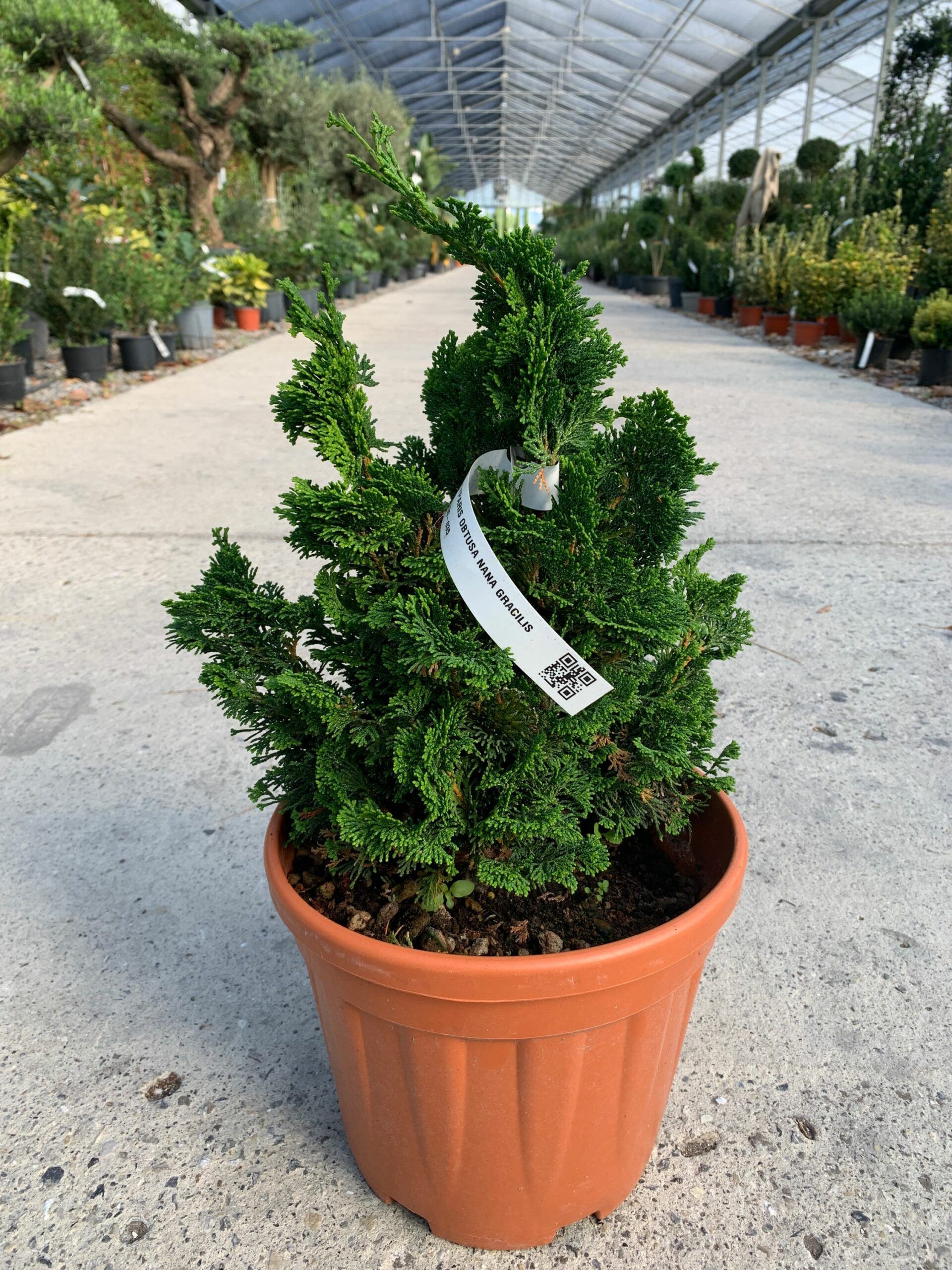 1634977313 scaled 56ad9082