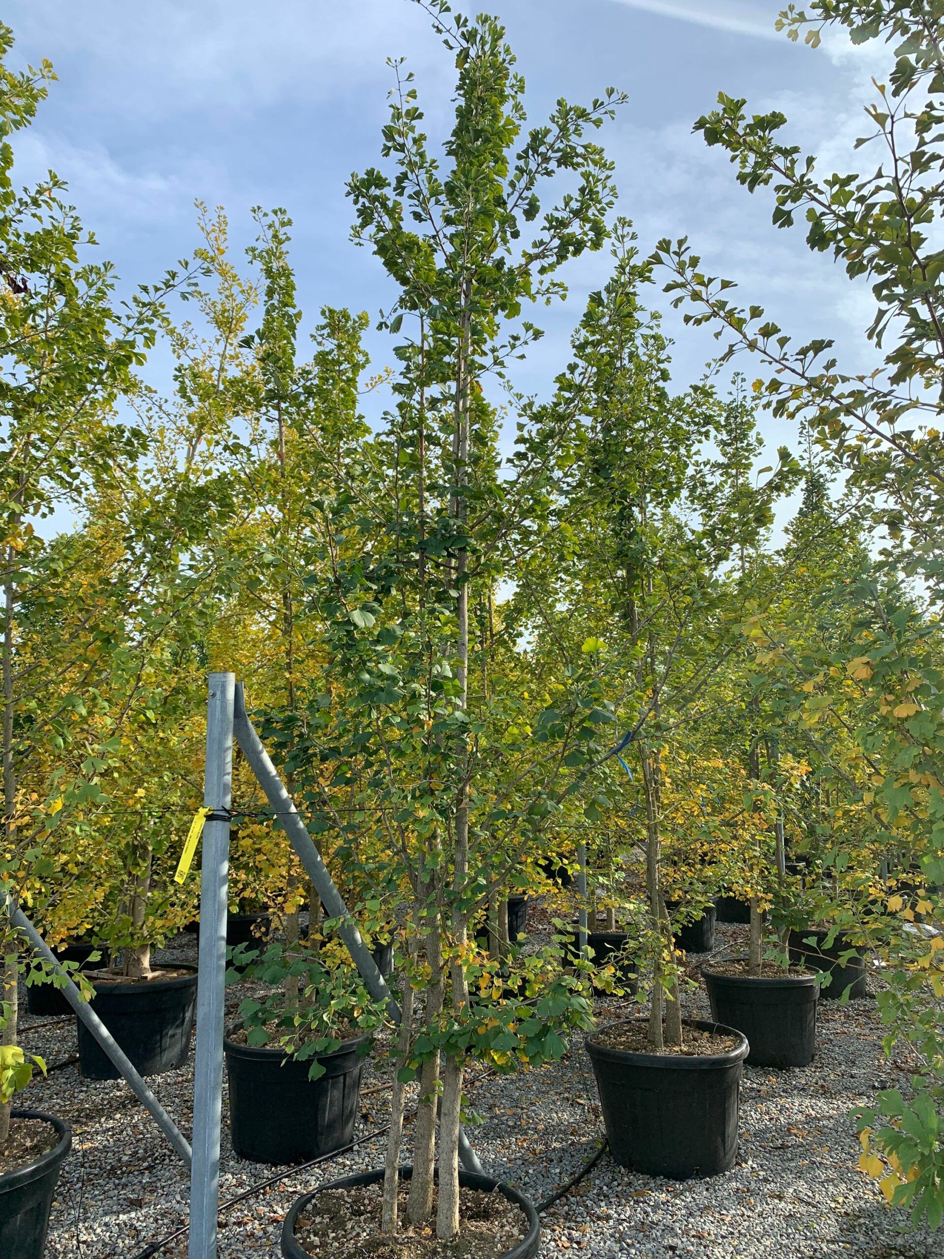 1635169083 scaled 5643c618