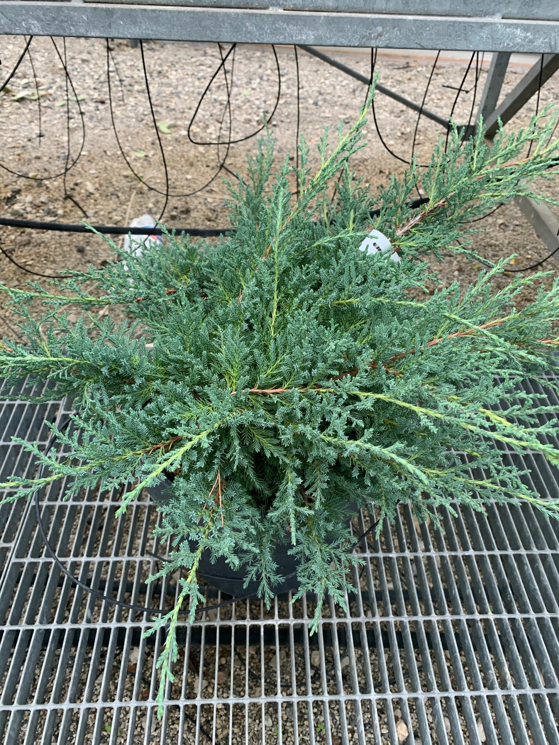 1637829175 scaled 563dd99b