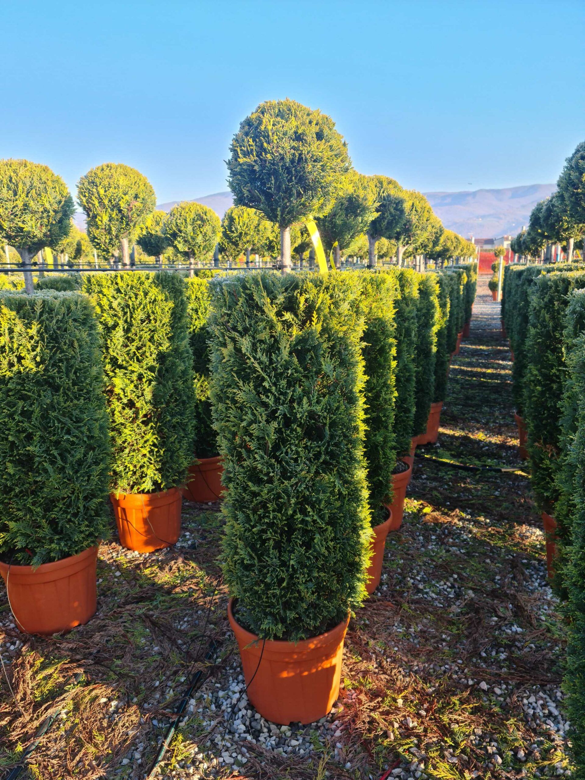 1639814618 1 scaled 5678d223