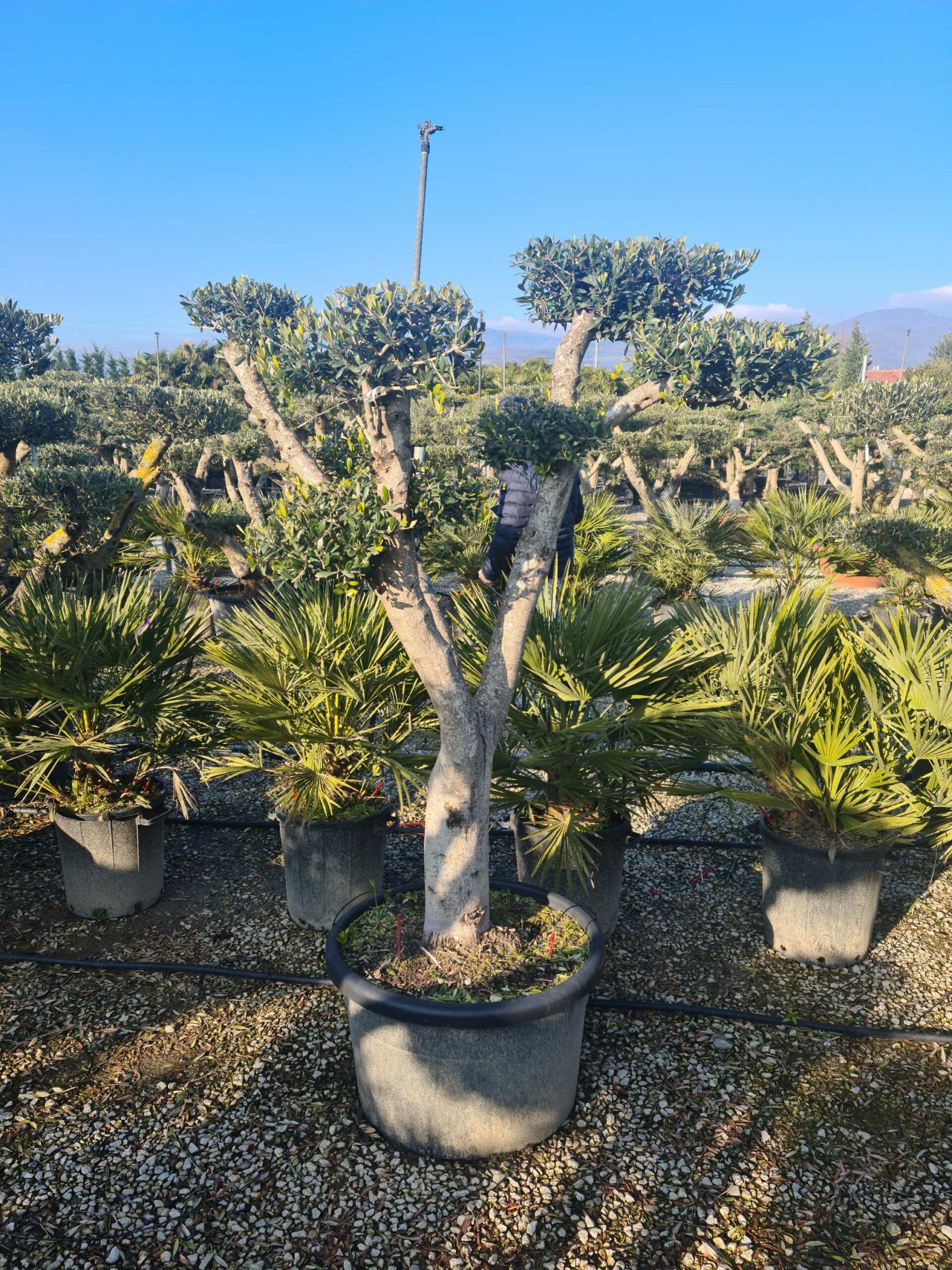 1642774207 scaled 566f4b30