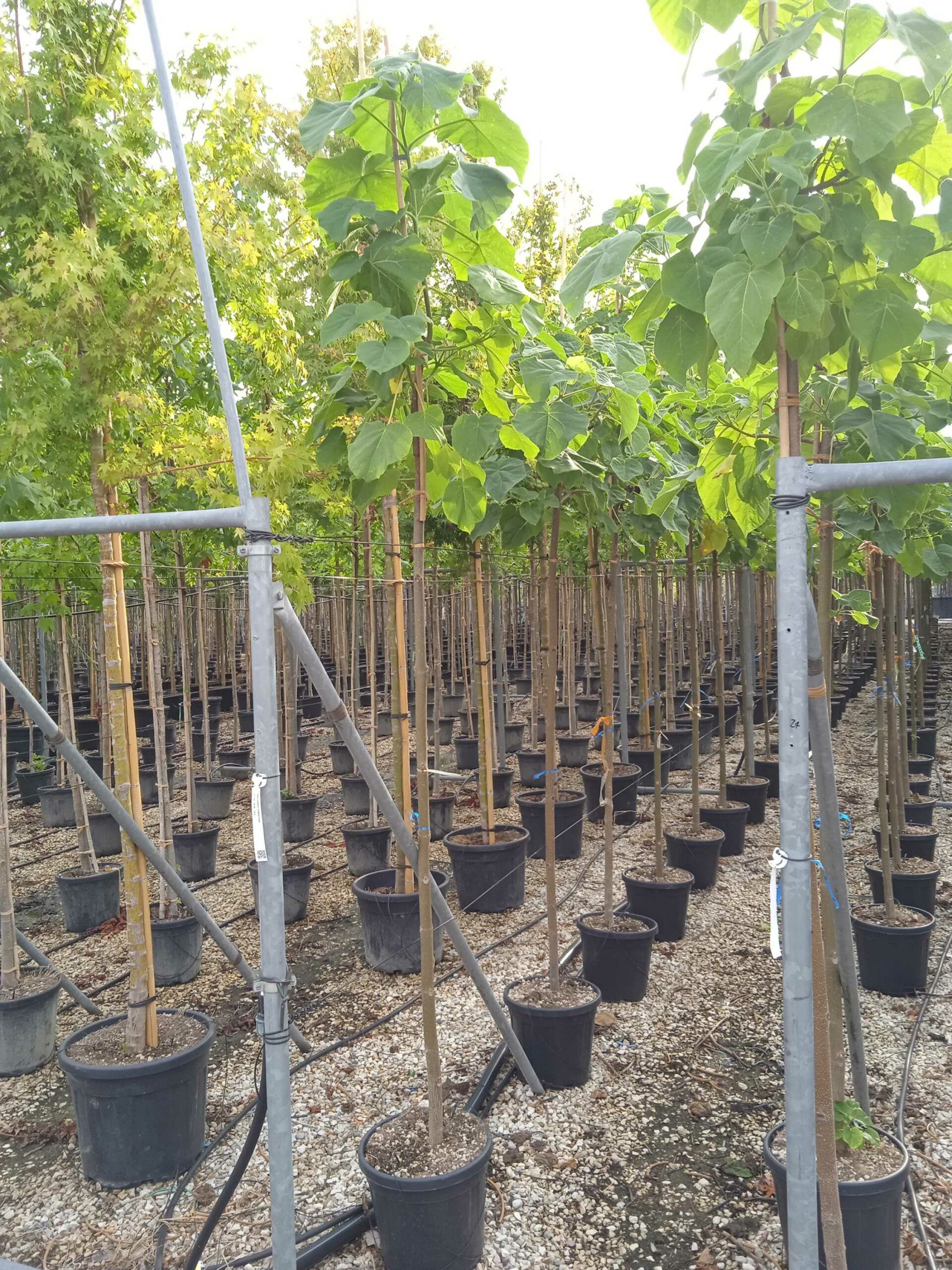 1662016368 scaled 5673d173