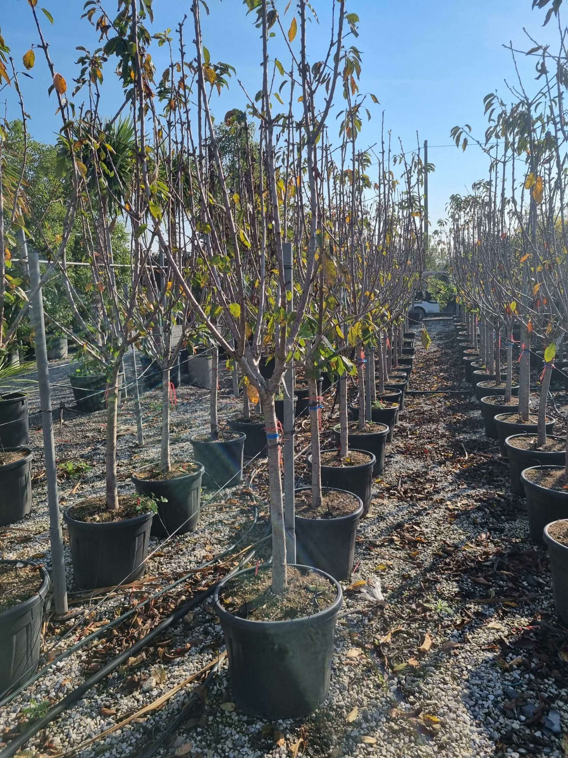 1665474966 scaled 56b261c2