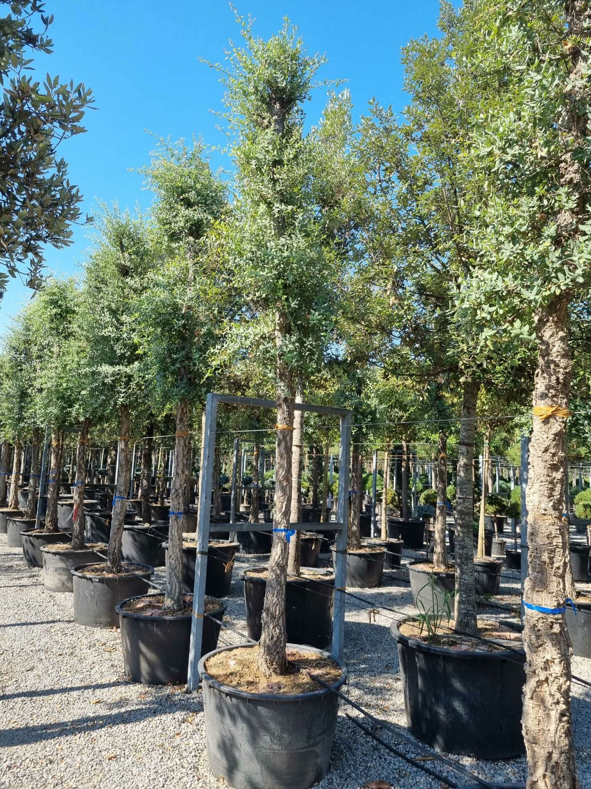 1692605565 scaled 56d583c0