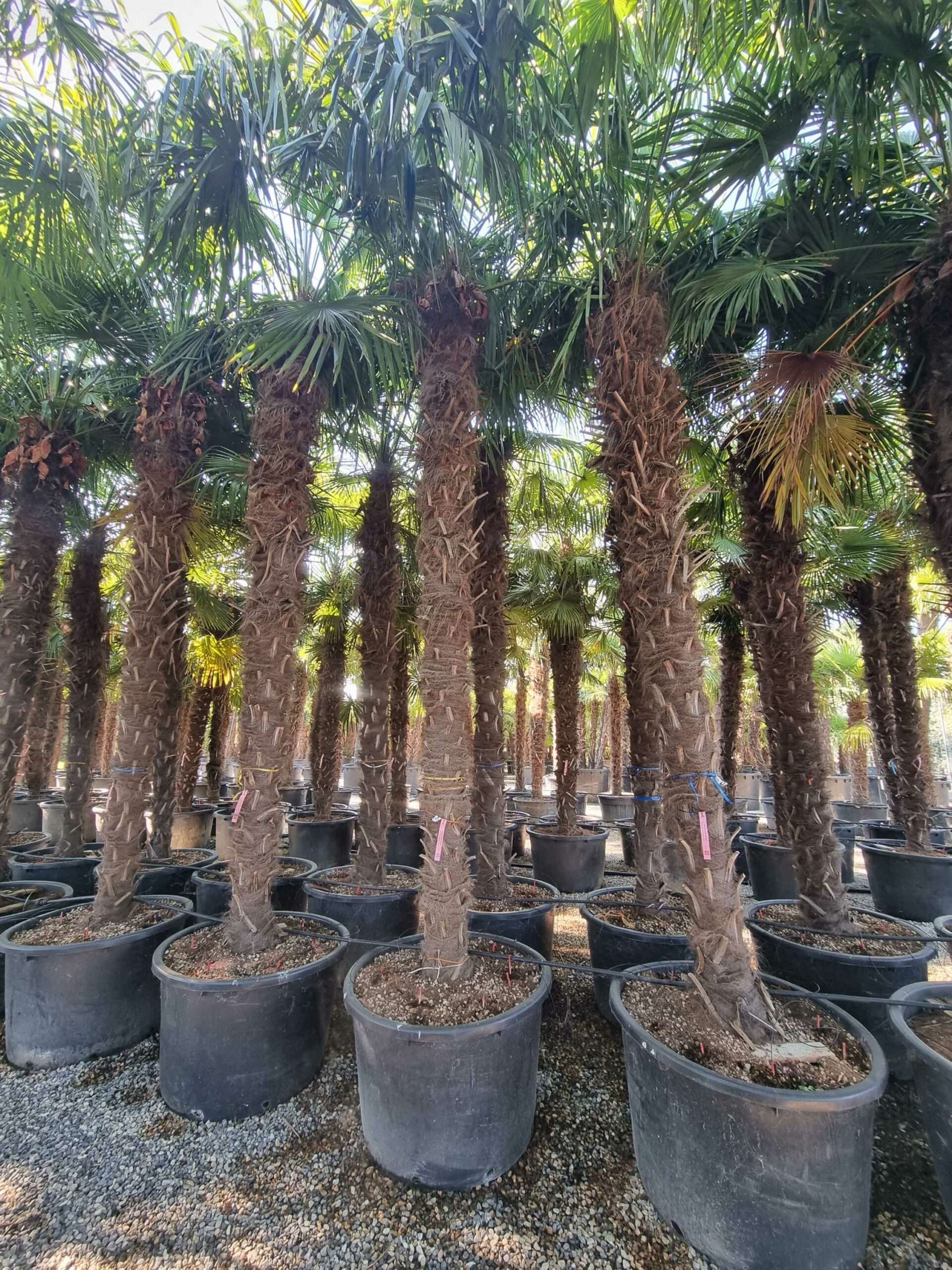 1692687574 scaled 56ce689c