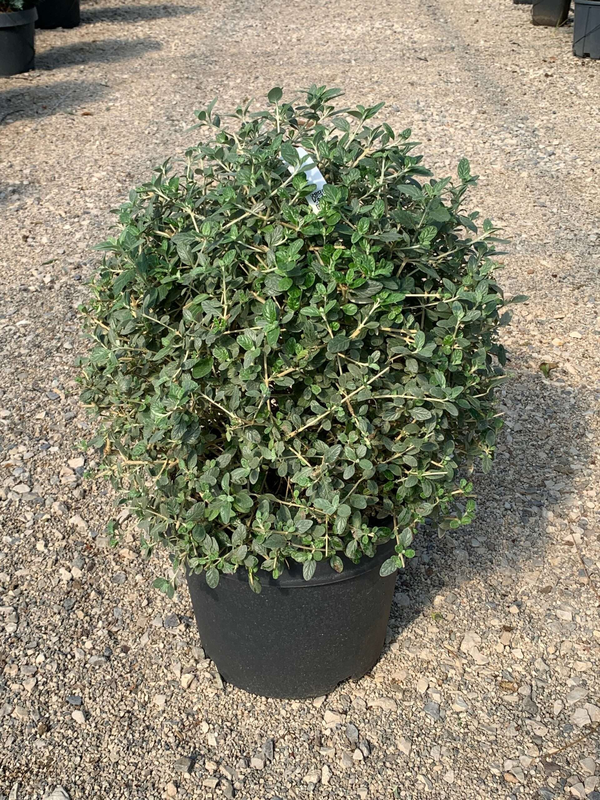 1632834189 scaled 57d7fc69