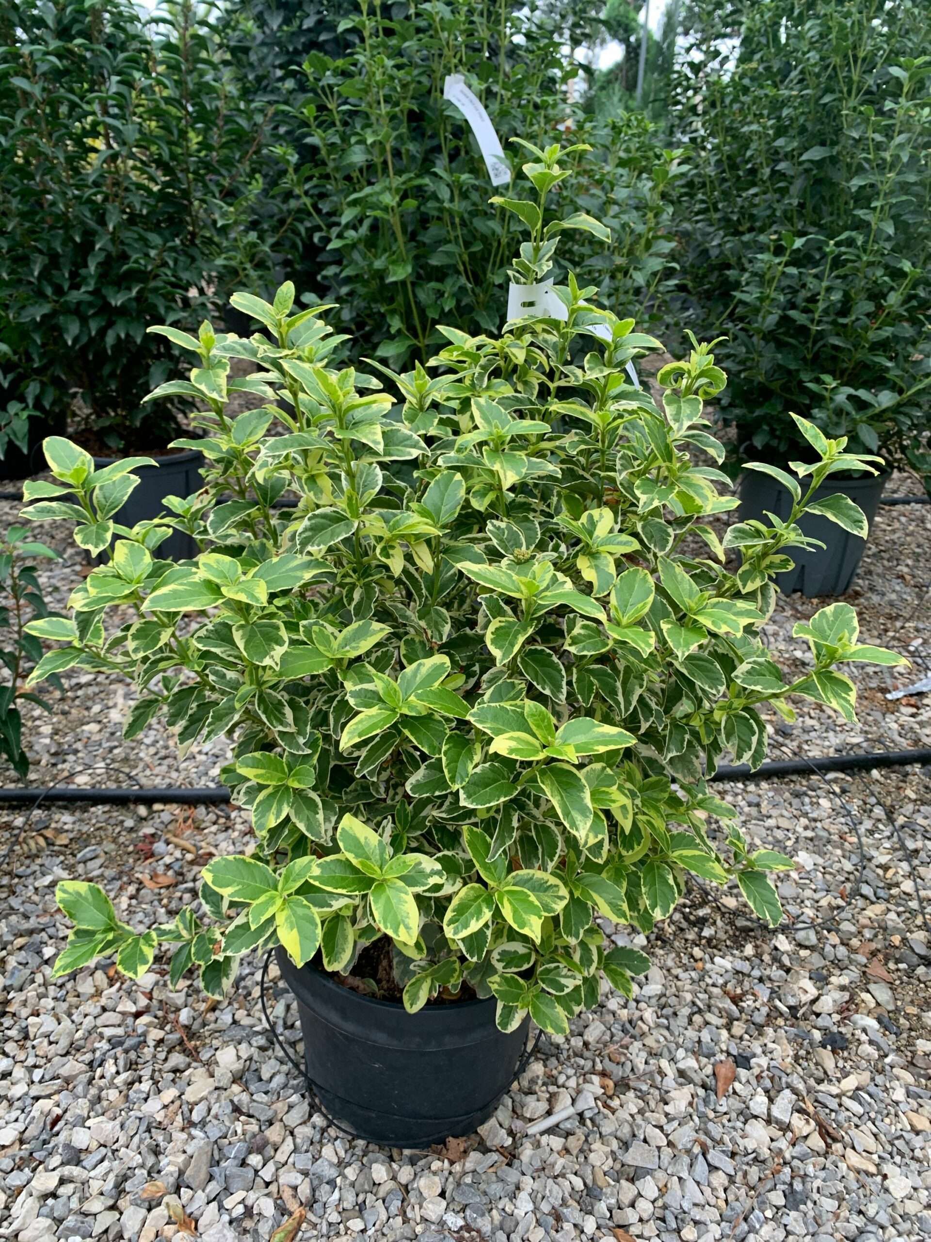 1633335156 scaled 5781e0ee