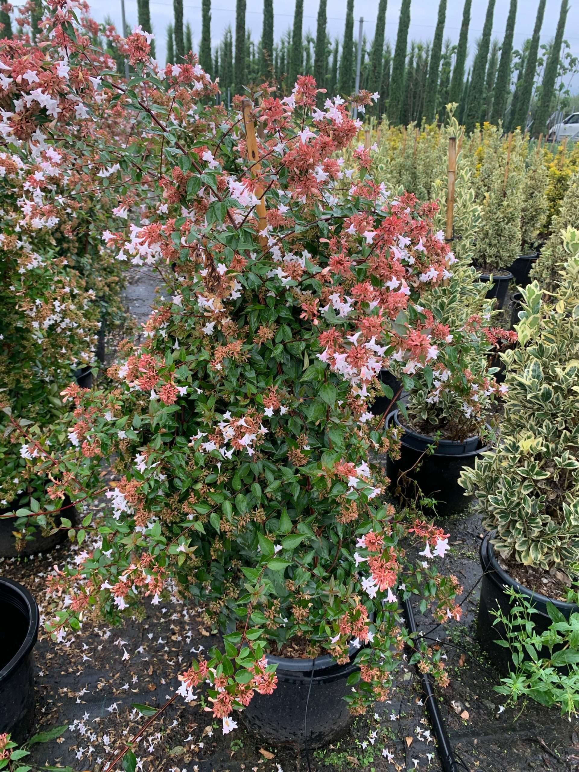 1633339201 scaled 572830ff