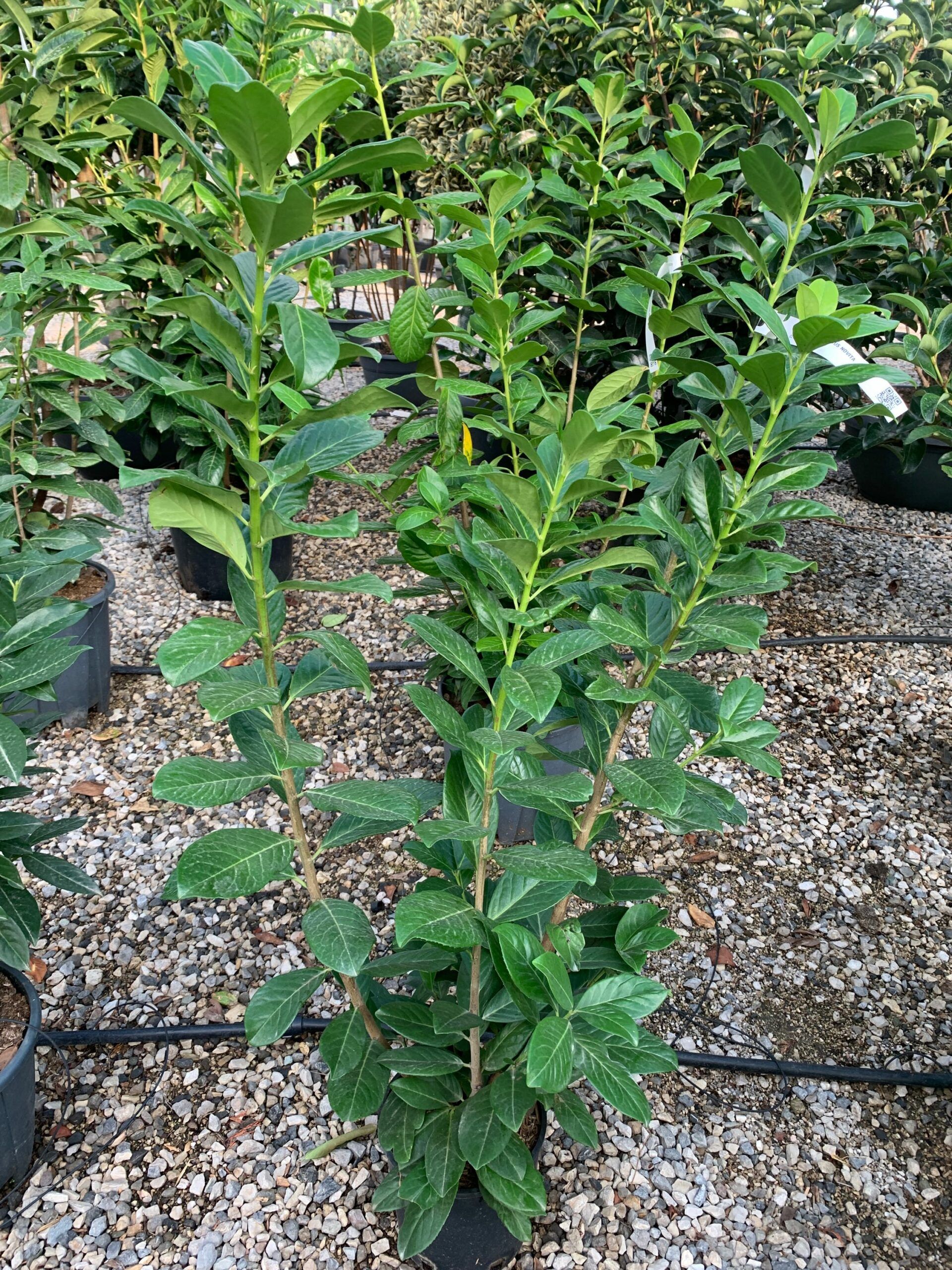 1633446367 scaled 573c3c90