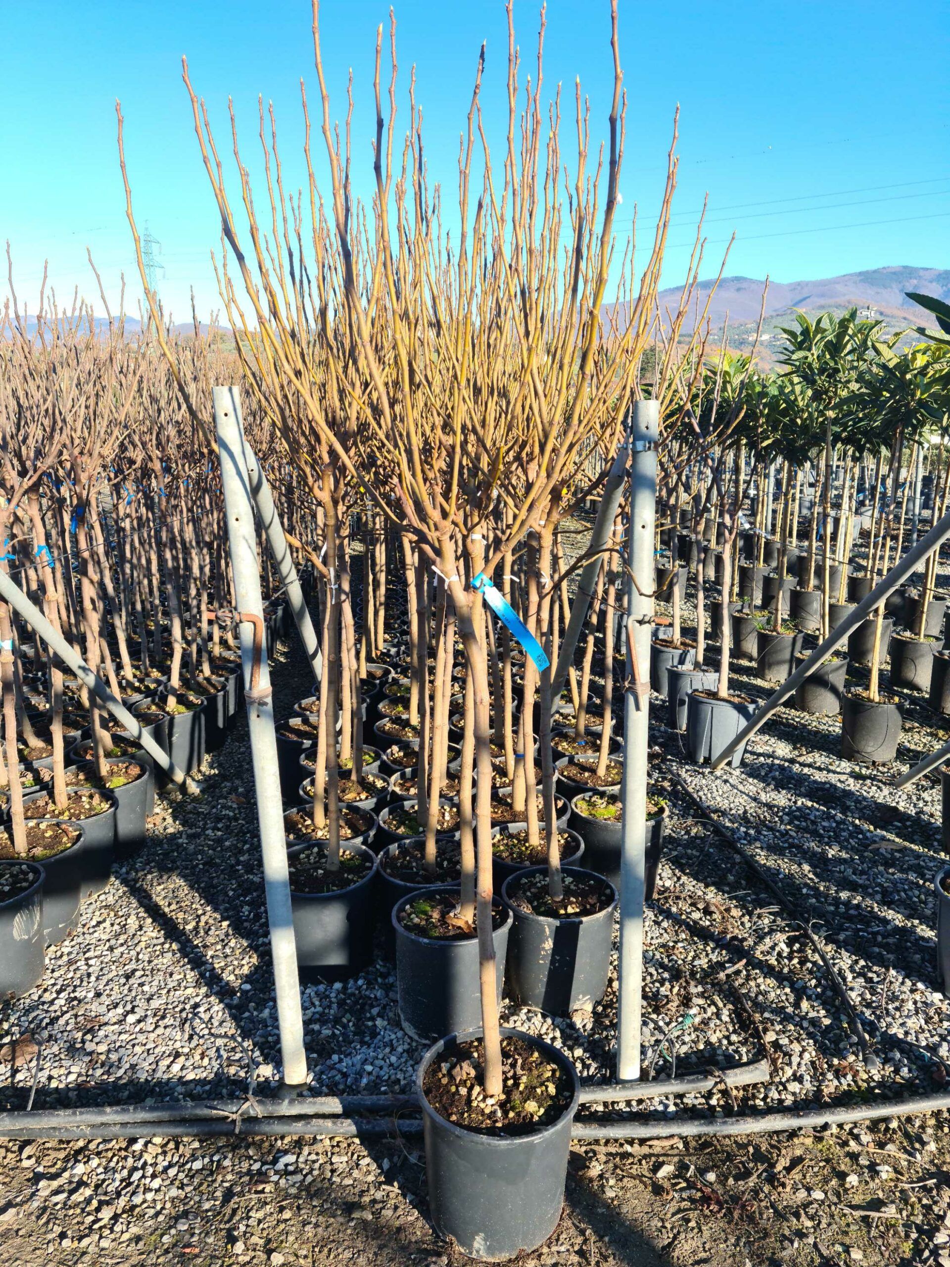 1639645234 scaled 57ad2cd5