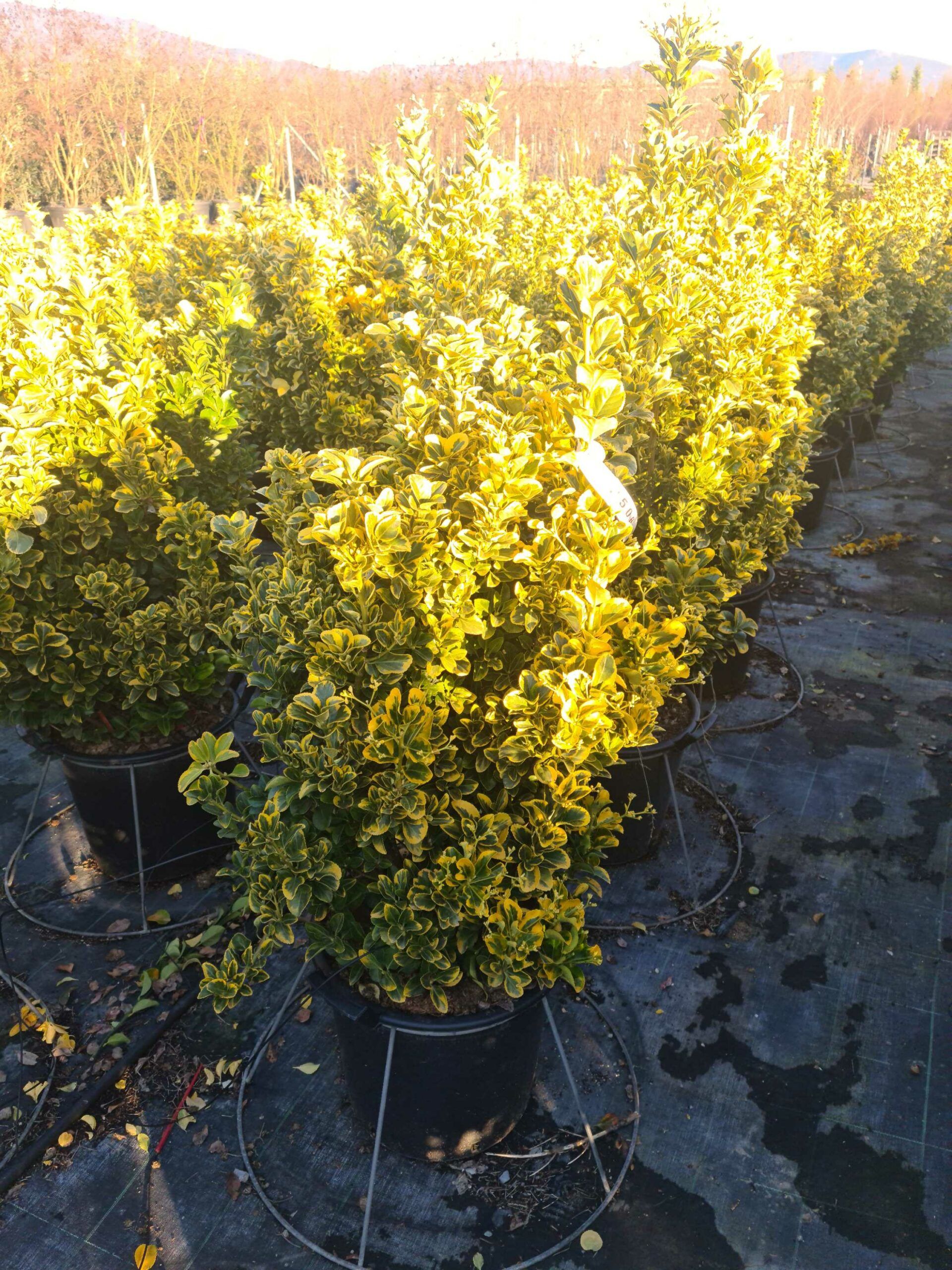 1639664954 scaled 57123fe5