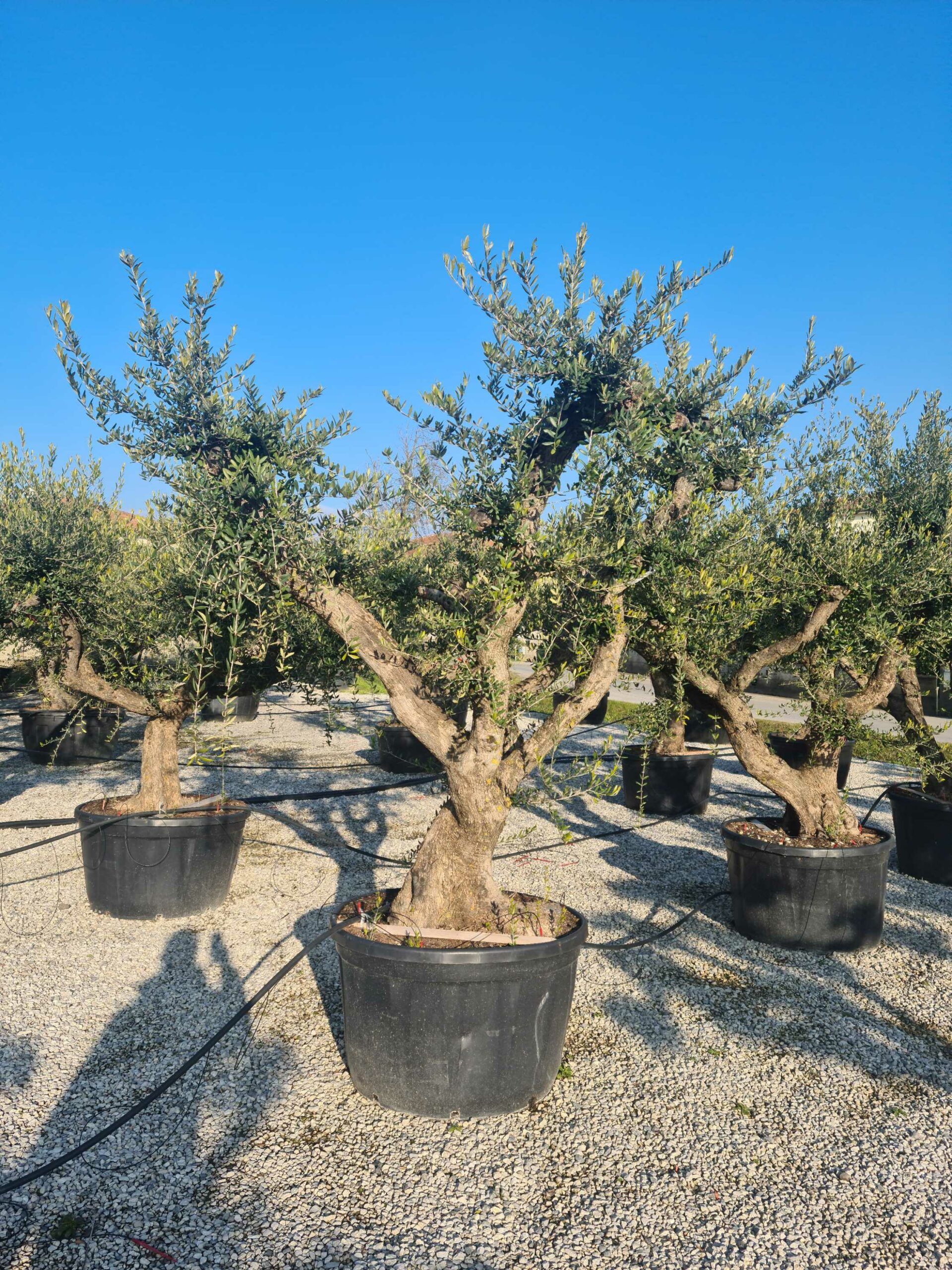 1642774170 scaled 570d005f