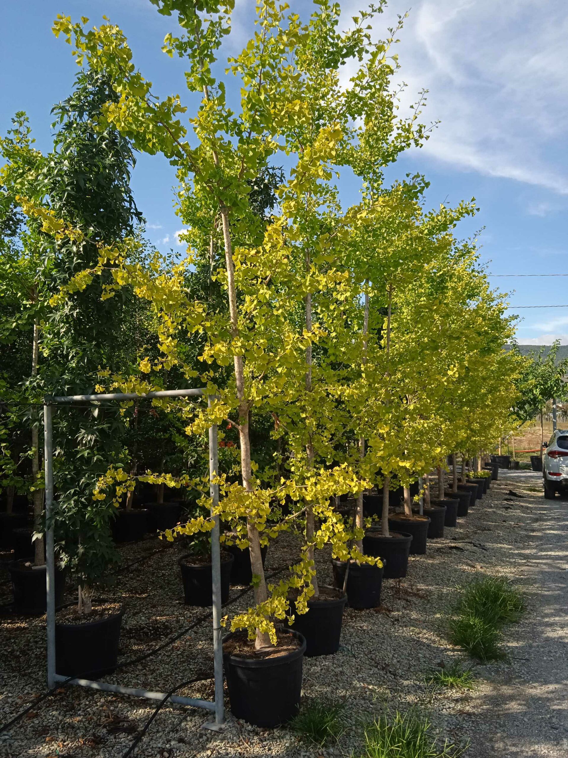 1662043948 scaled 57c412a1