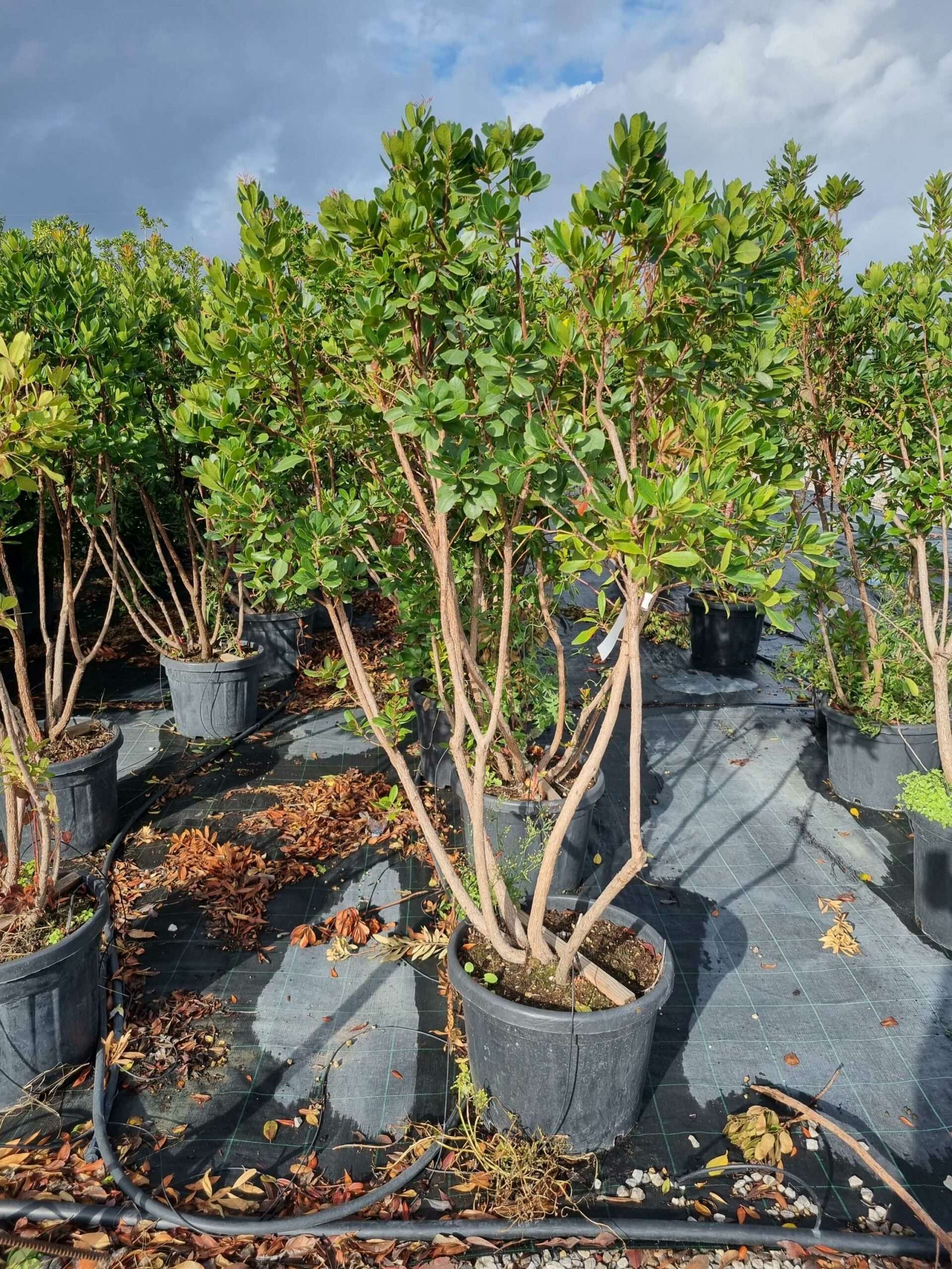 1664437408 scaled 57a2499d