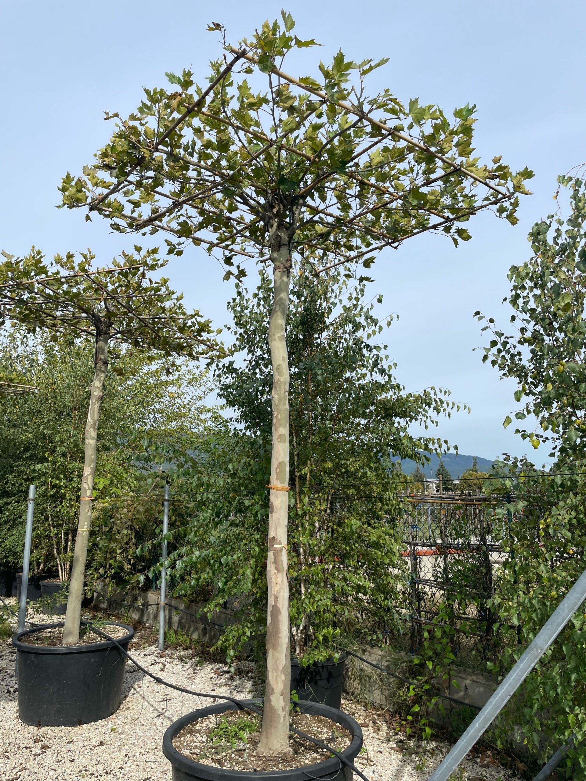 1664890211 scaled 57b79b1a