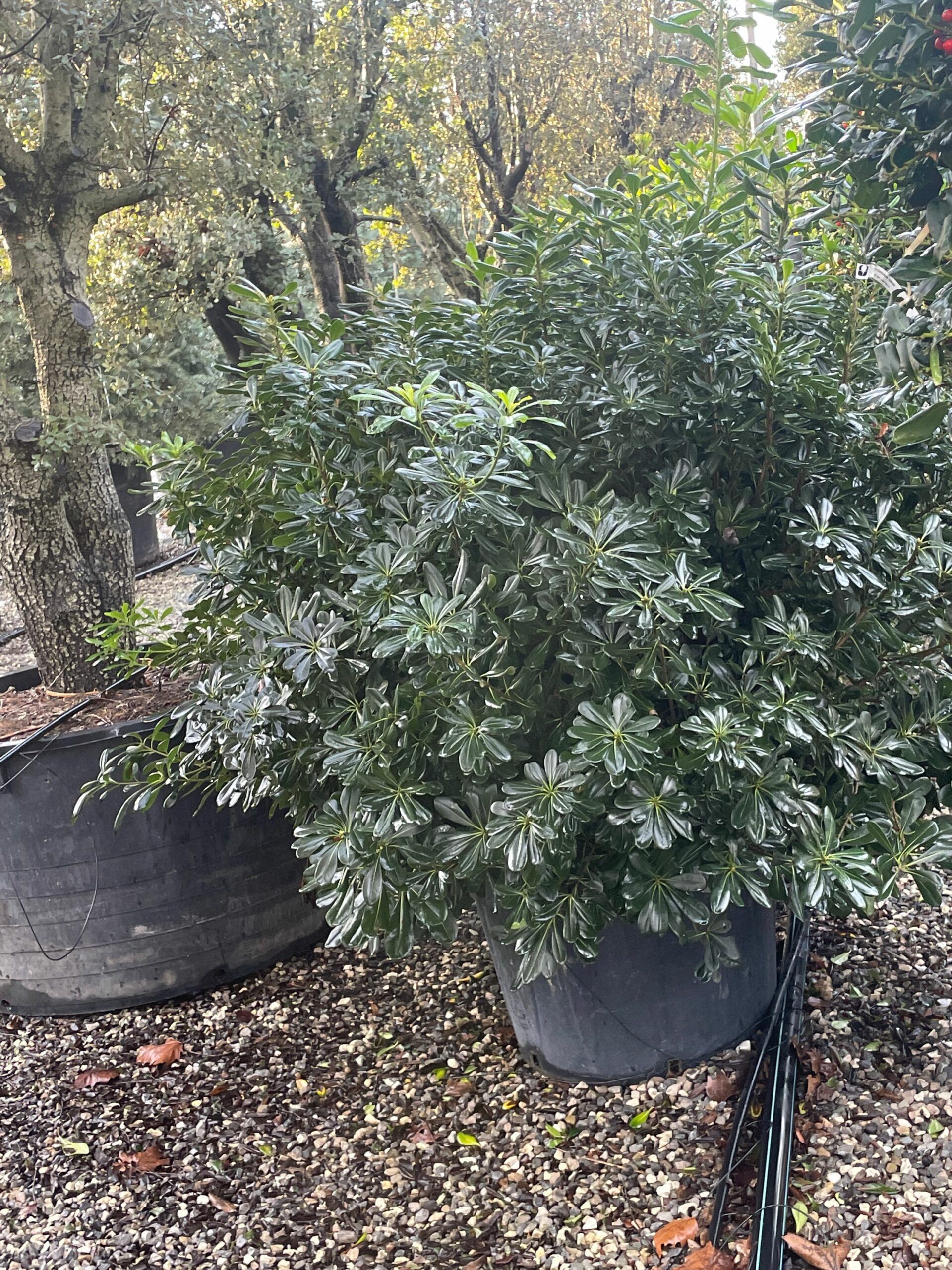 1674113917 scaled 57464f68