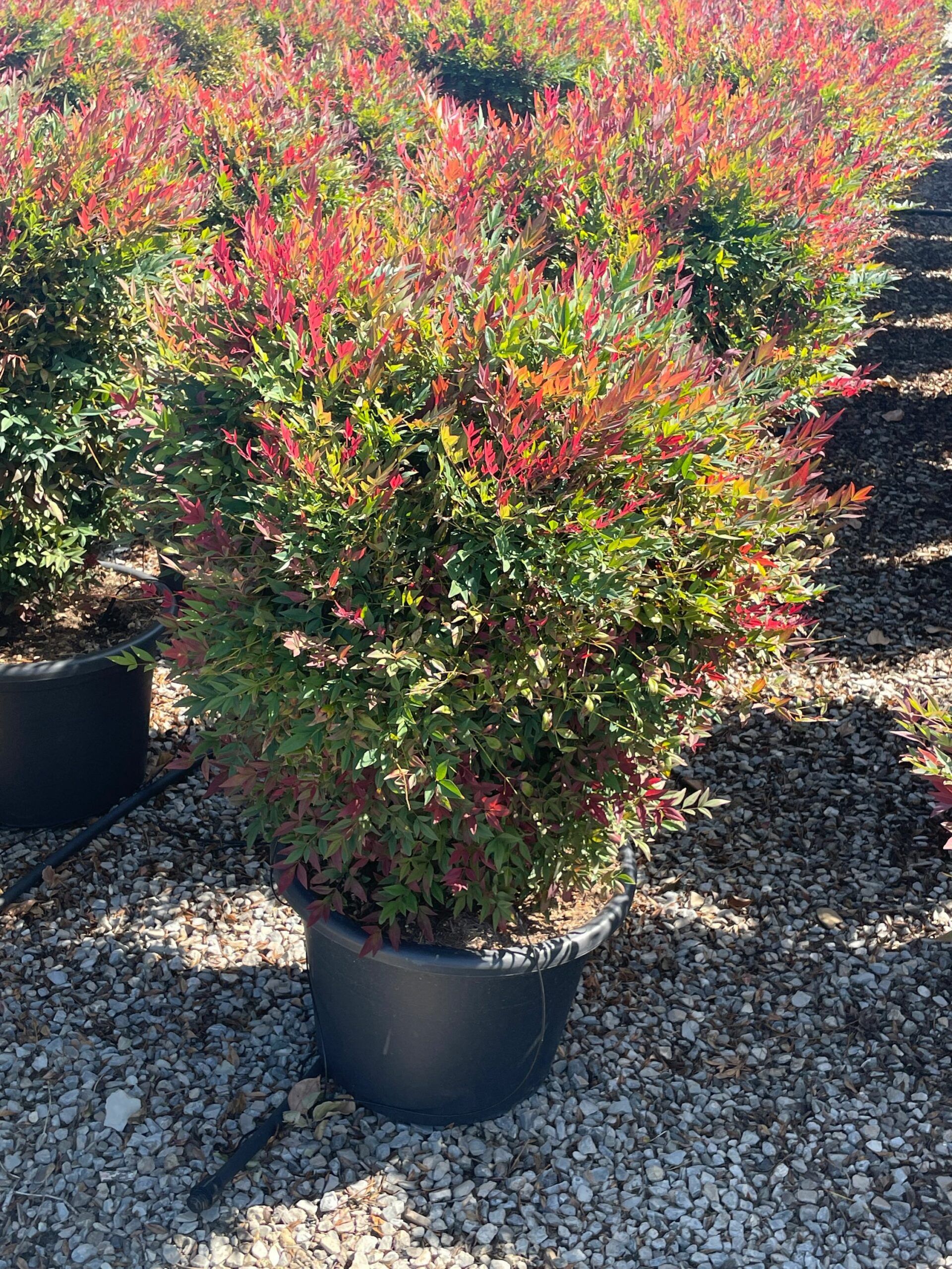 1694253181 scaled 57b67498