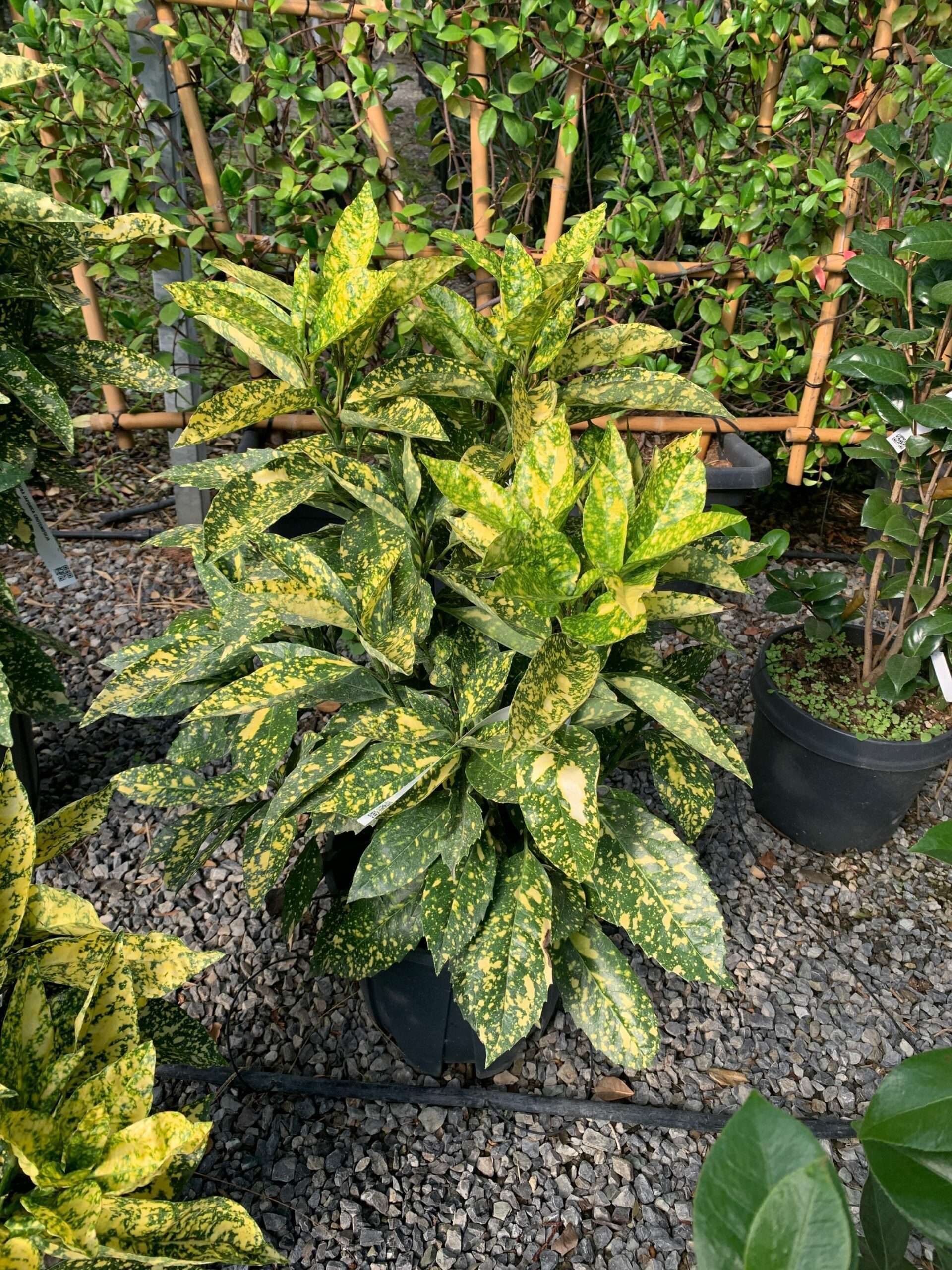 1634633311 scaled 58755623