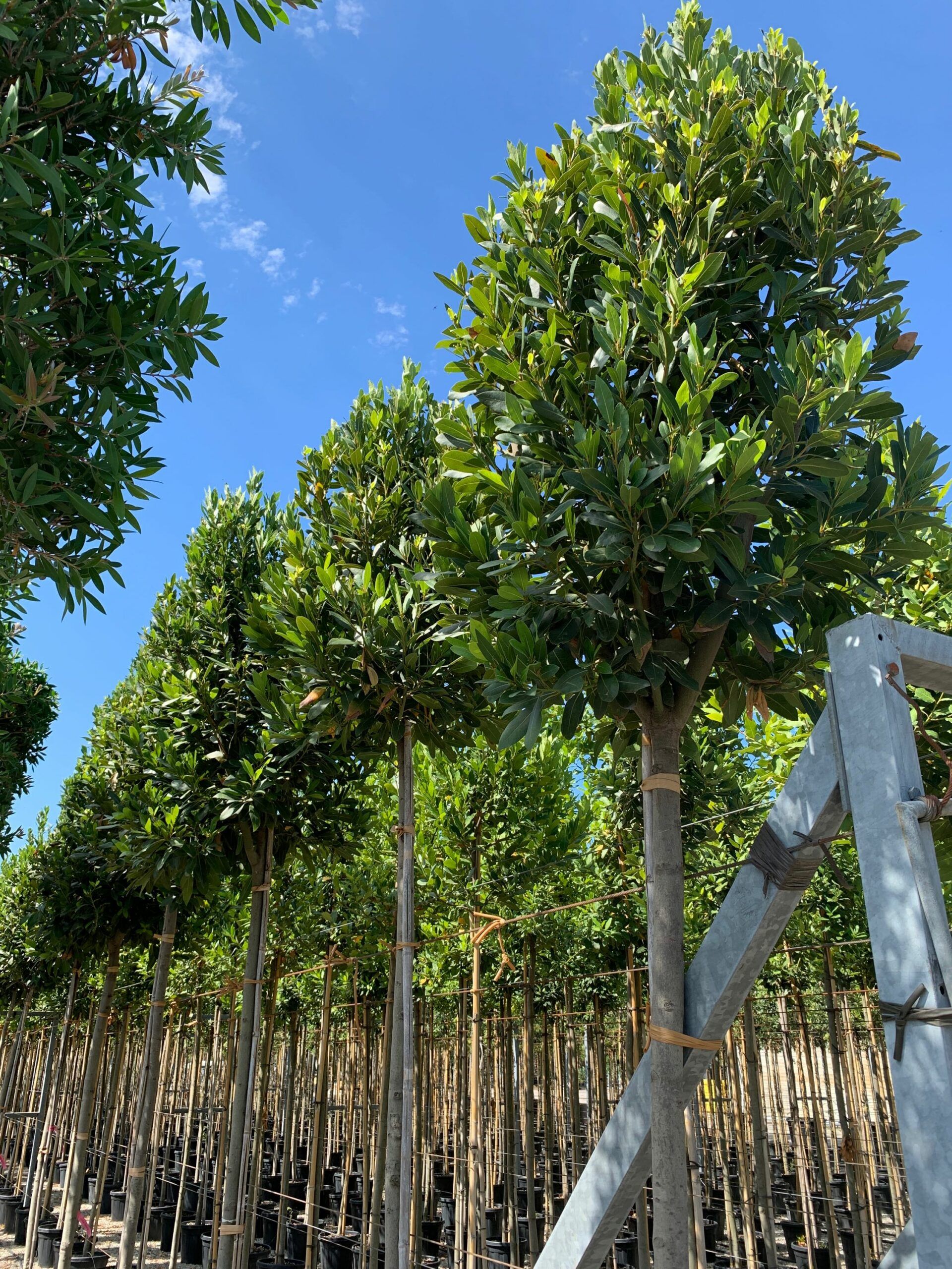 1657528900 scaled 586011ae