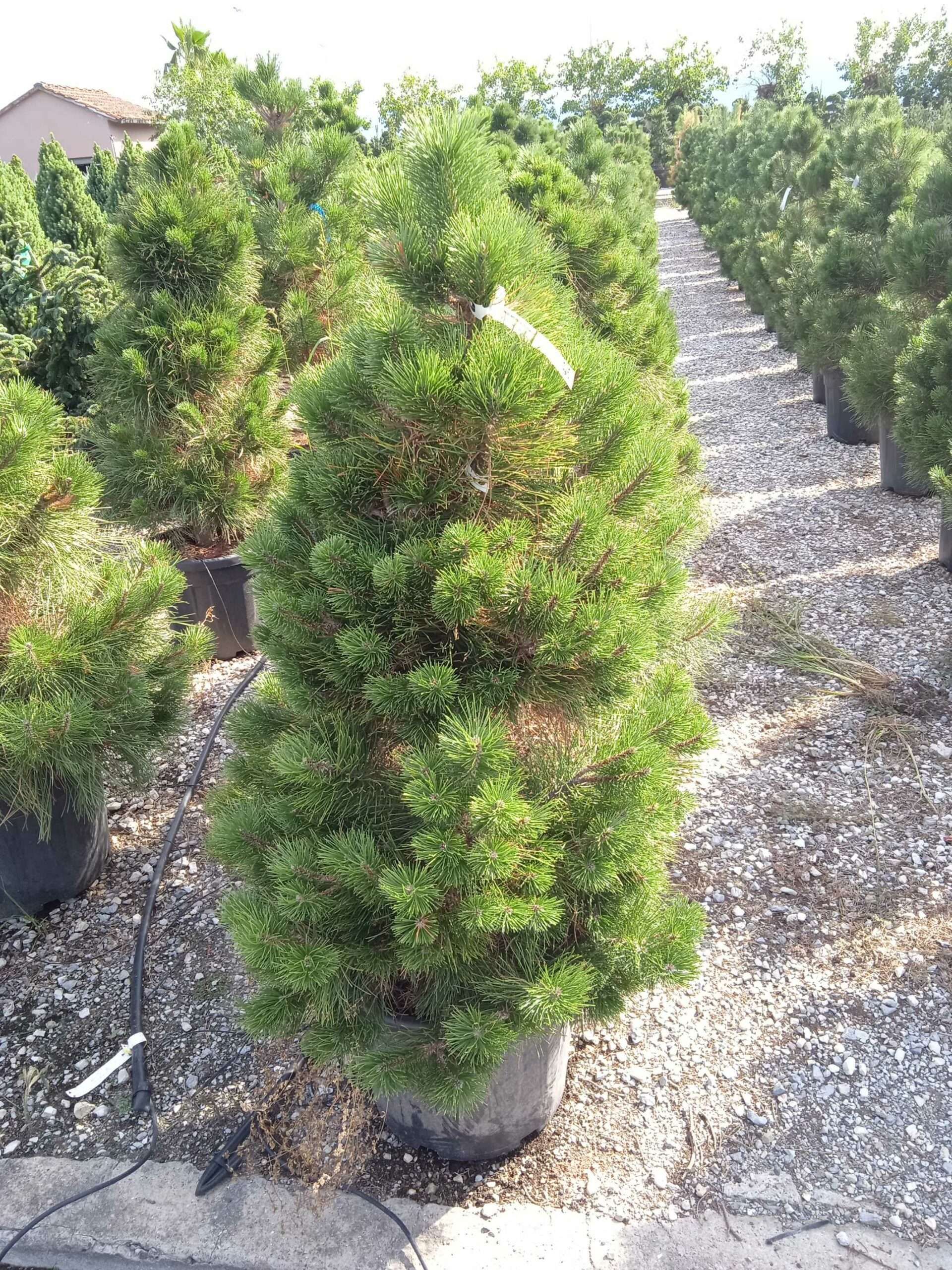 1662127238 scaled 5894f855