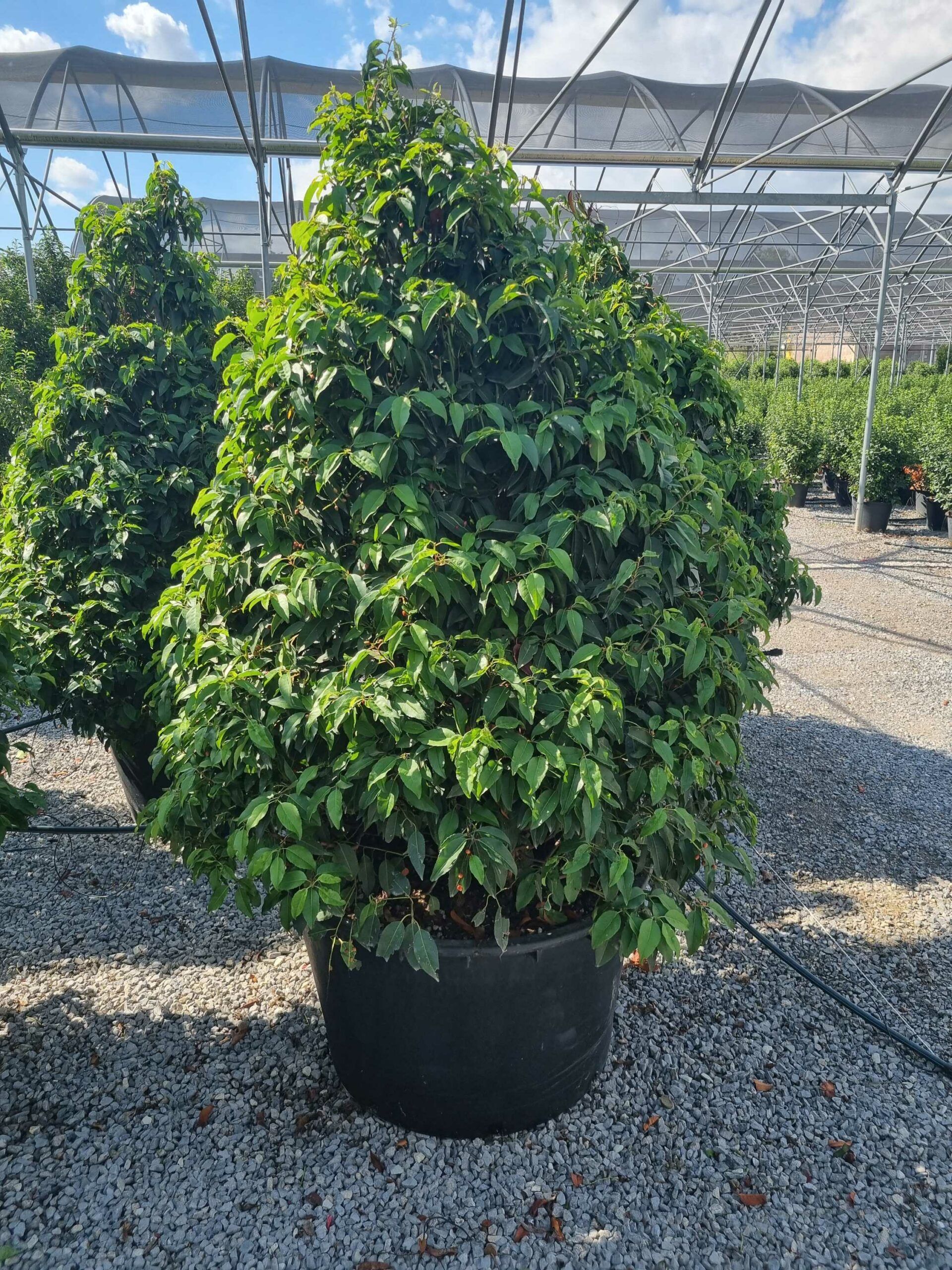 1663590791 scaled 58da98ad