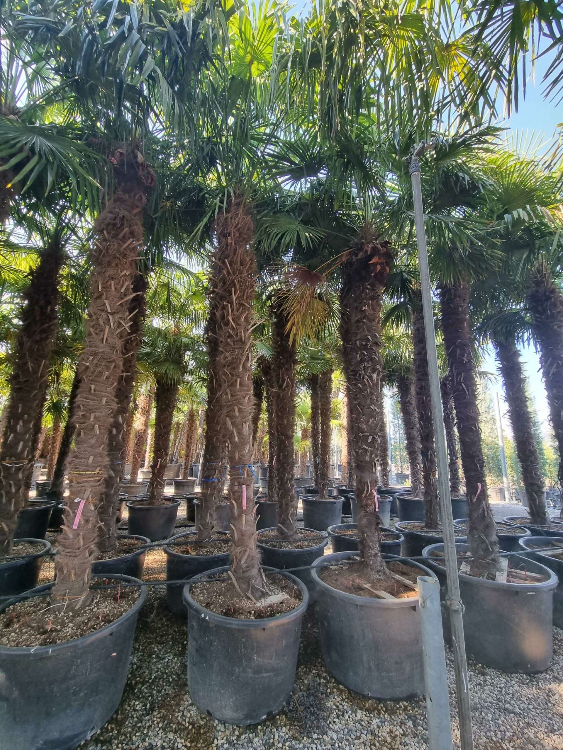 1692687600 scaled 5808af9f