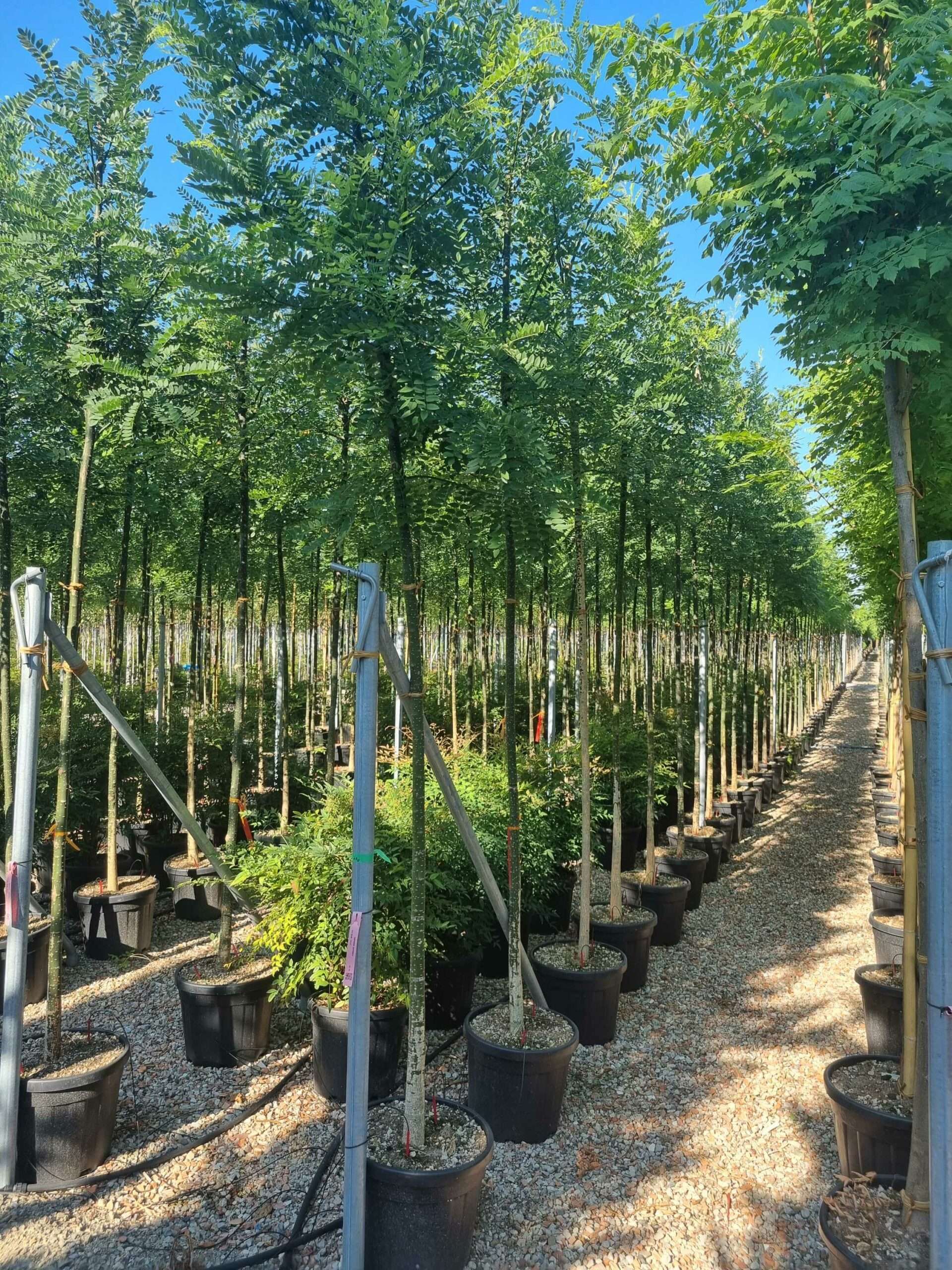 1692689204 scaled 58e1974b