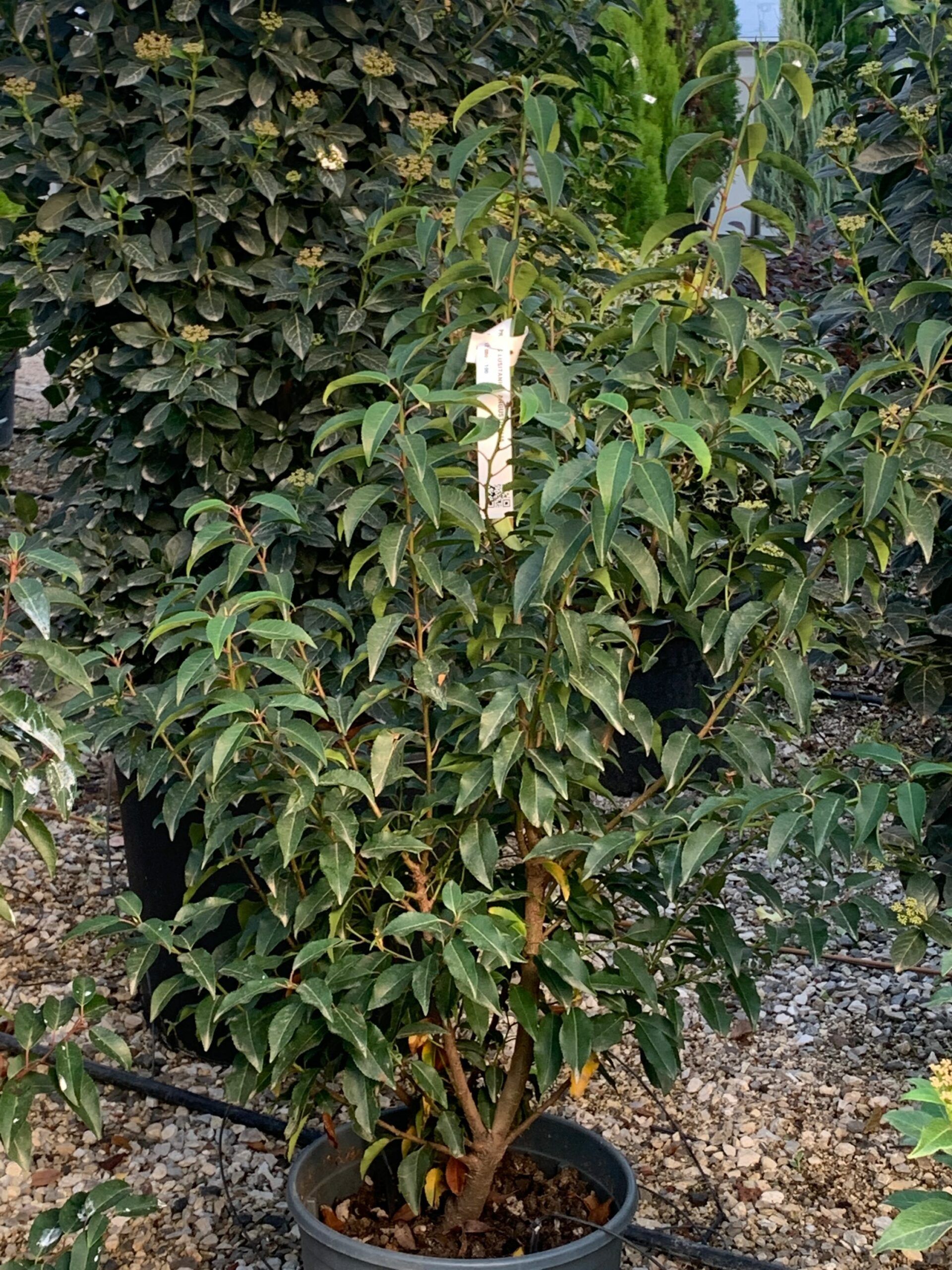 1637243953 scaled 597107b2