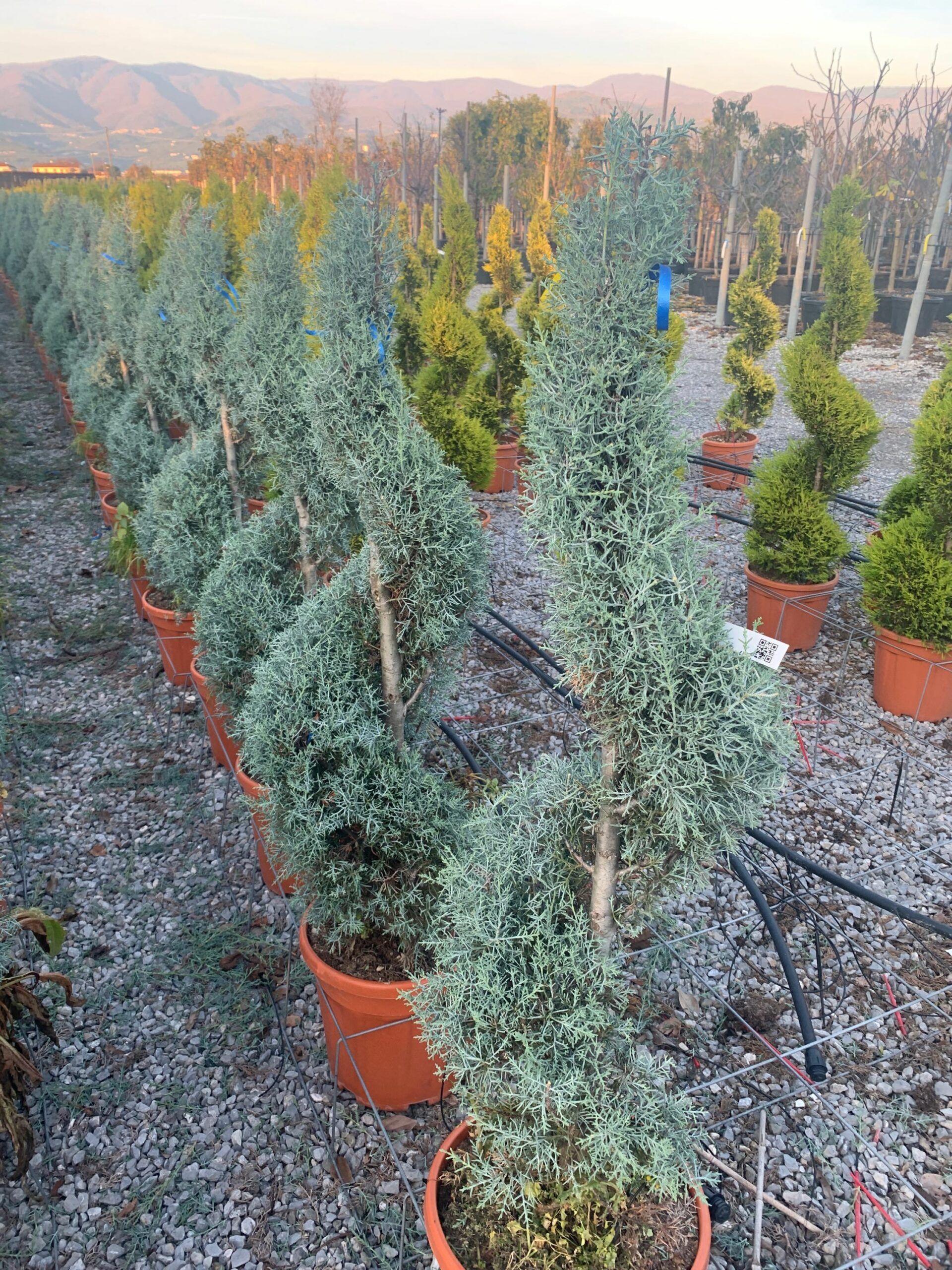 1637334841 scaled 59d9034f