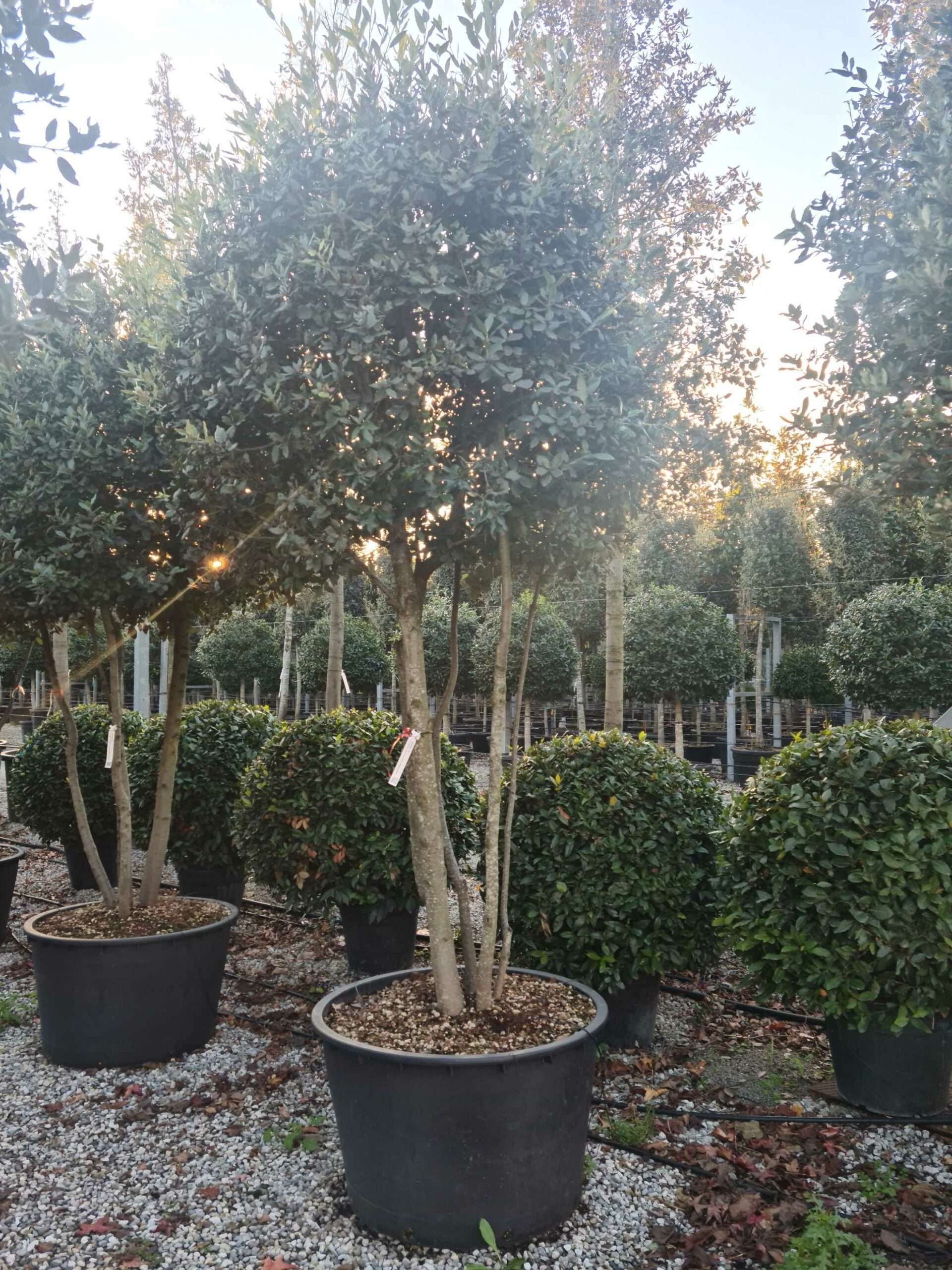 1639407318 scaled 59f3c5a5